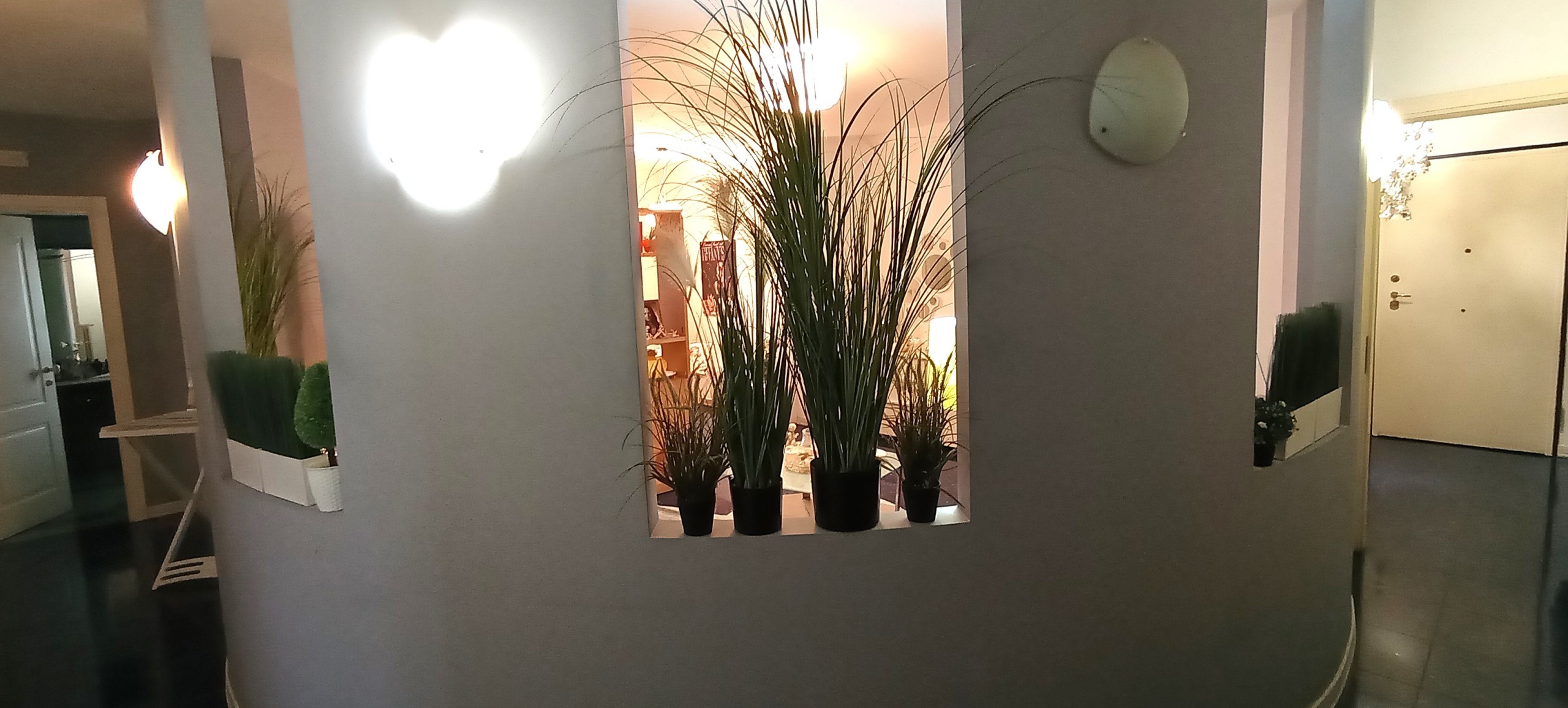 Foto annuncio 10