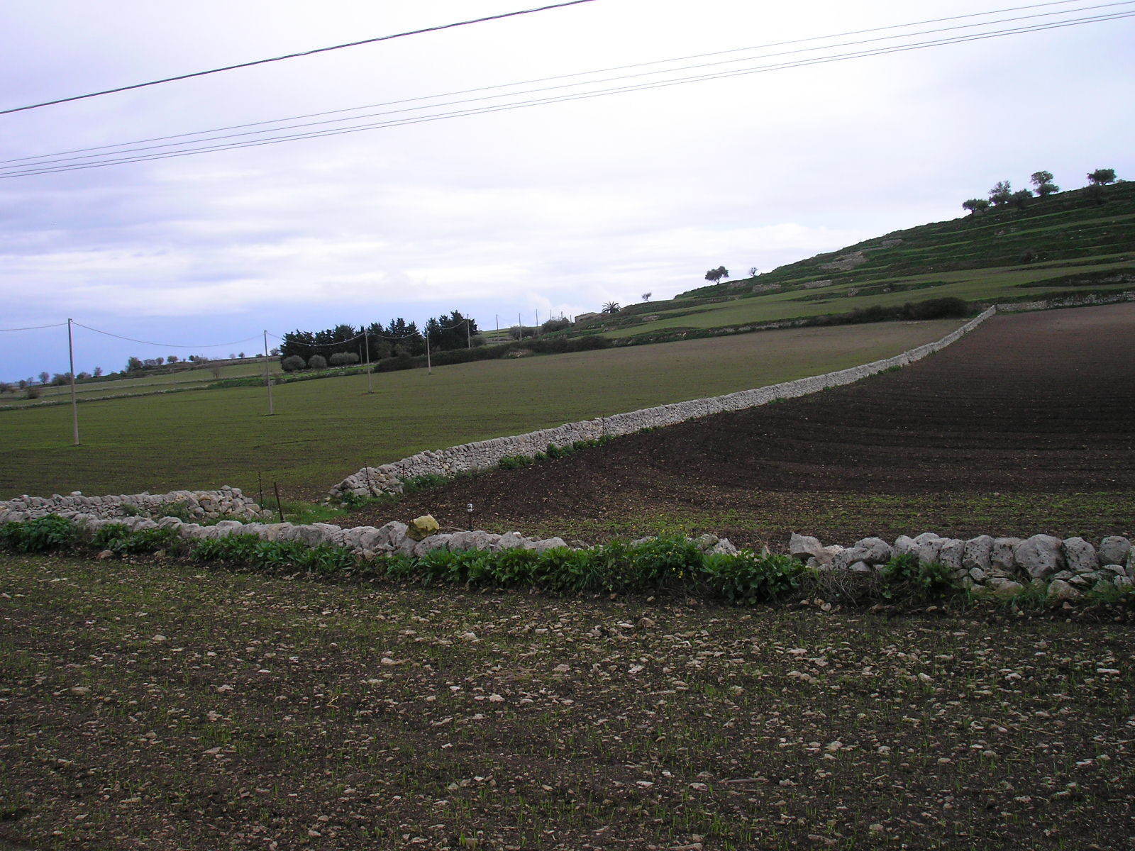 Foto annuncio 28