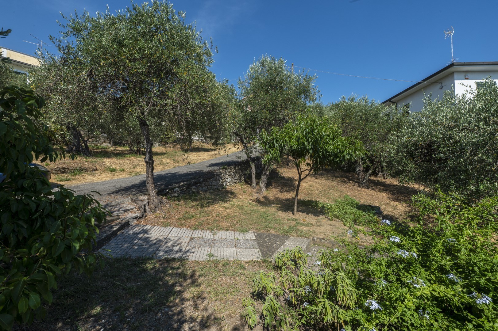 Immagine 25 di Casa indipendente in vendita  in Via Tedisio 133 a Lavagna