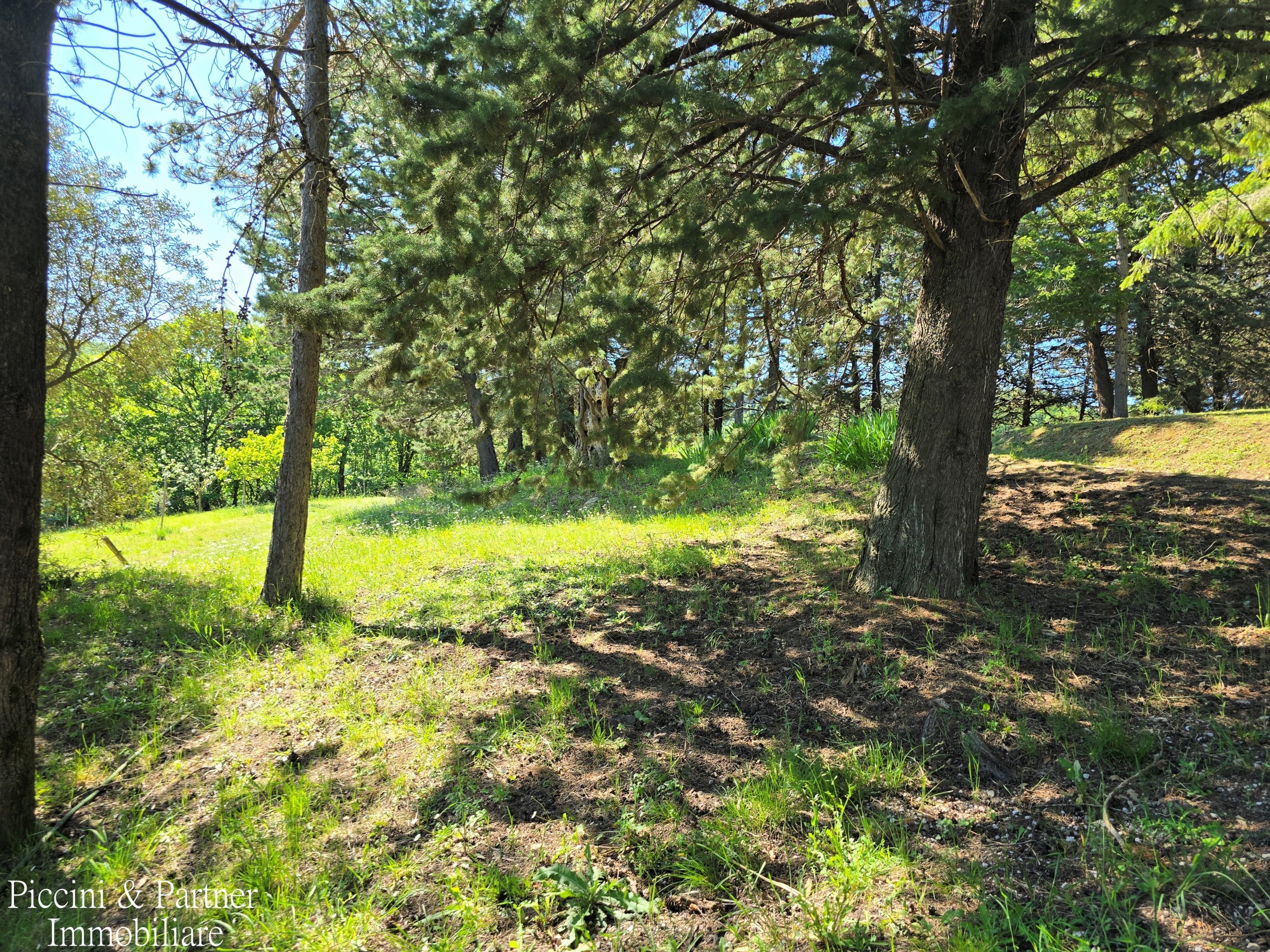Immagine 77 di Rustico / casale in vendita  in Migianella a Umbertide