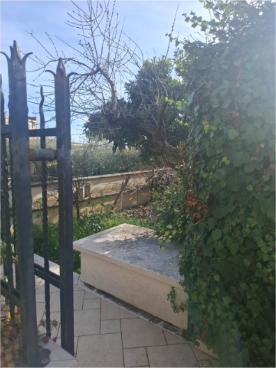 Foto annuncio 12