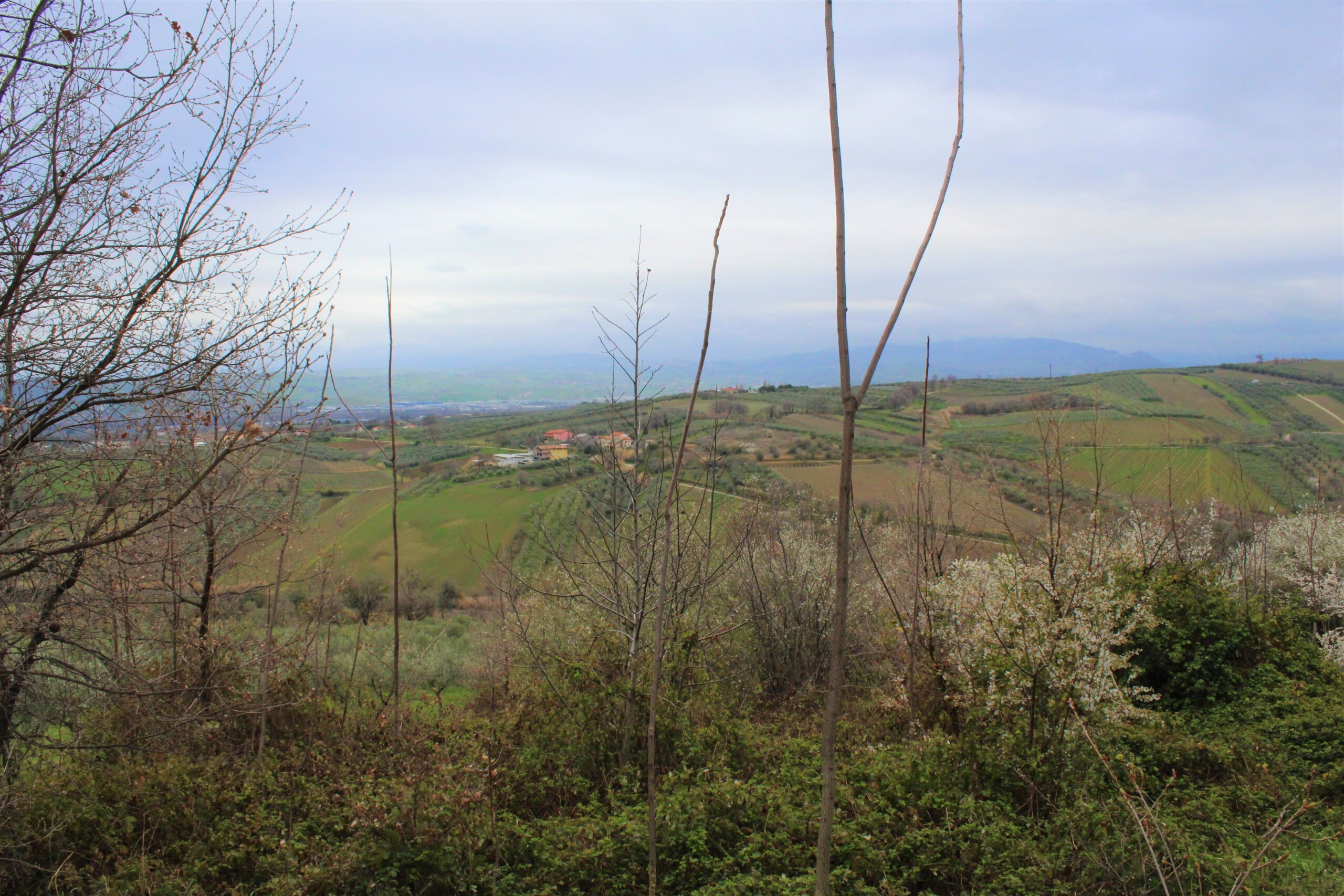 Foto annuncio 3