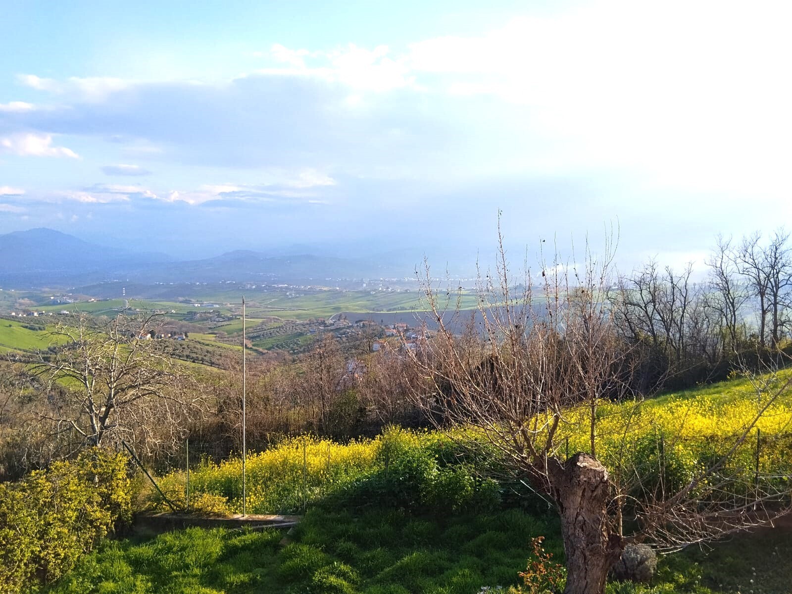 Foto annuncio 5