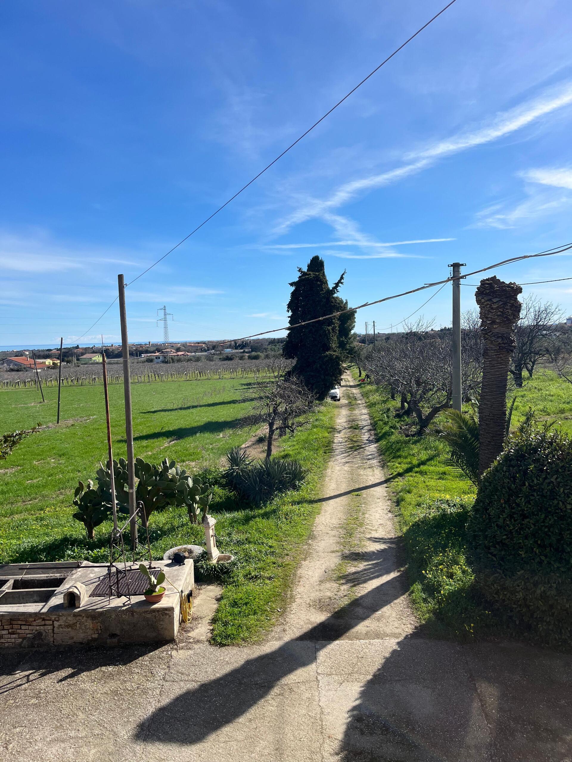 Foto annuncio 67