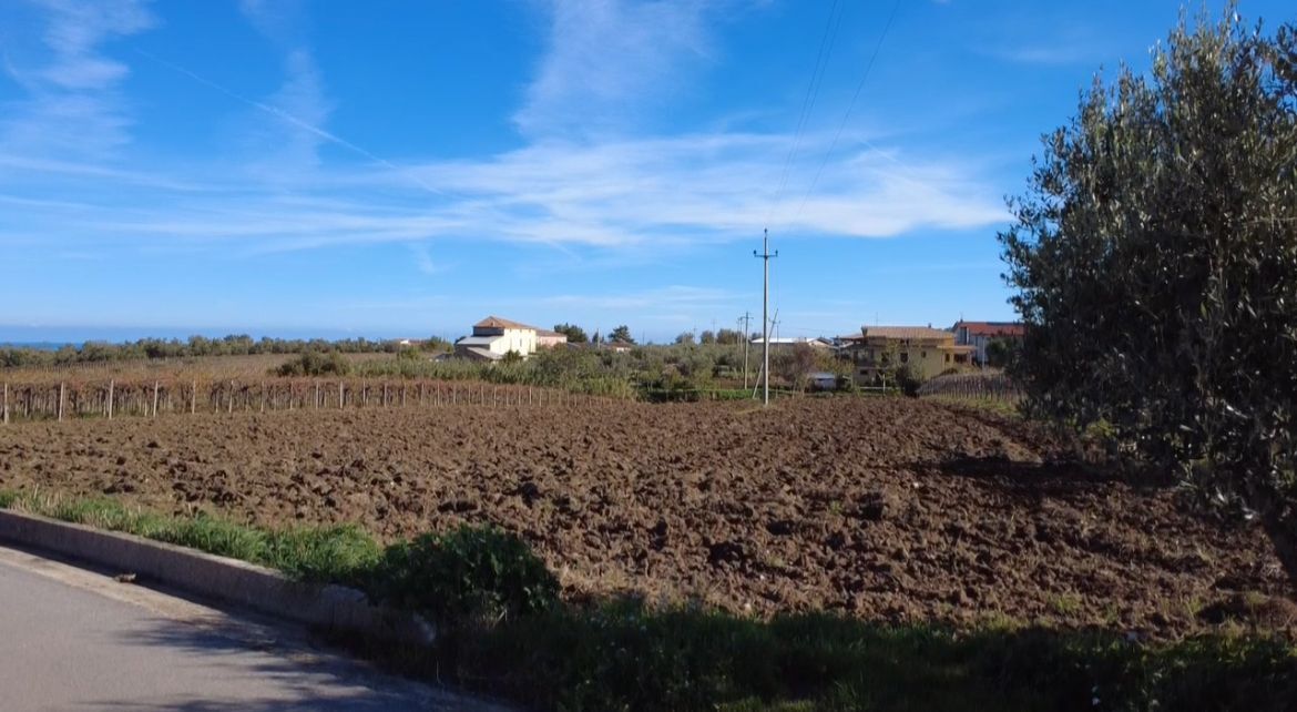 Foto annuncio 4