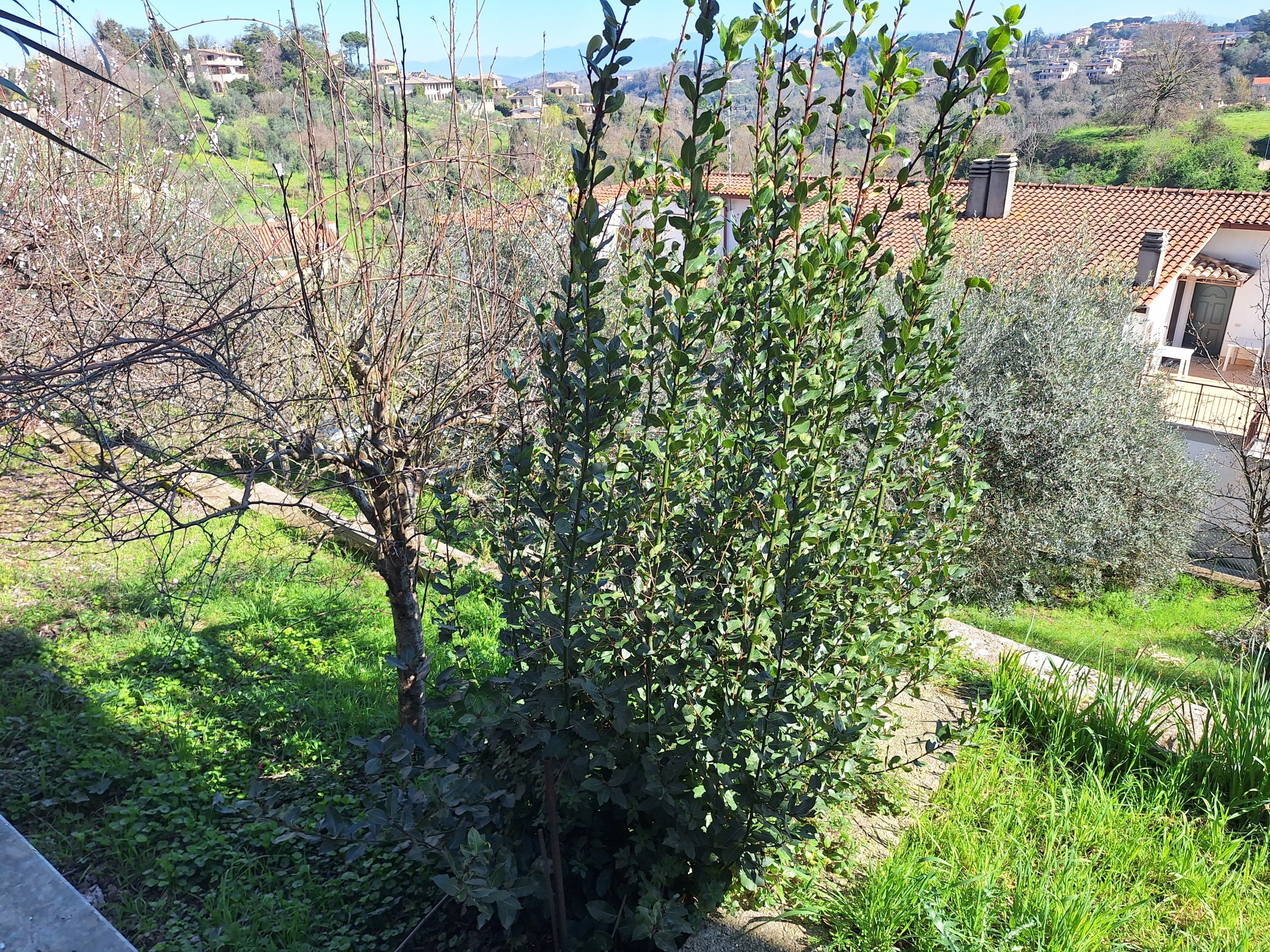 Immagine 78 di Casa indipendente in vendita  in Via Monte Grugnanello 35 a Morlupo