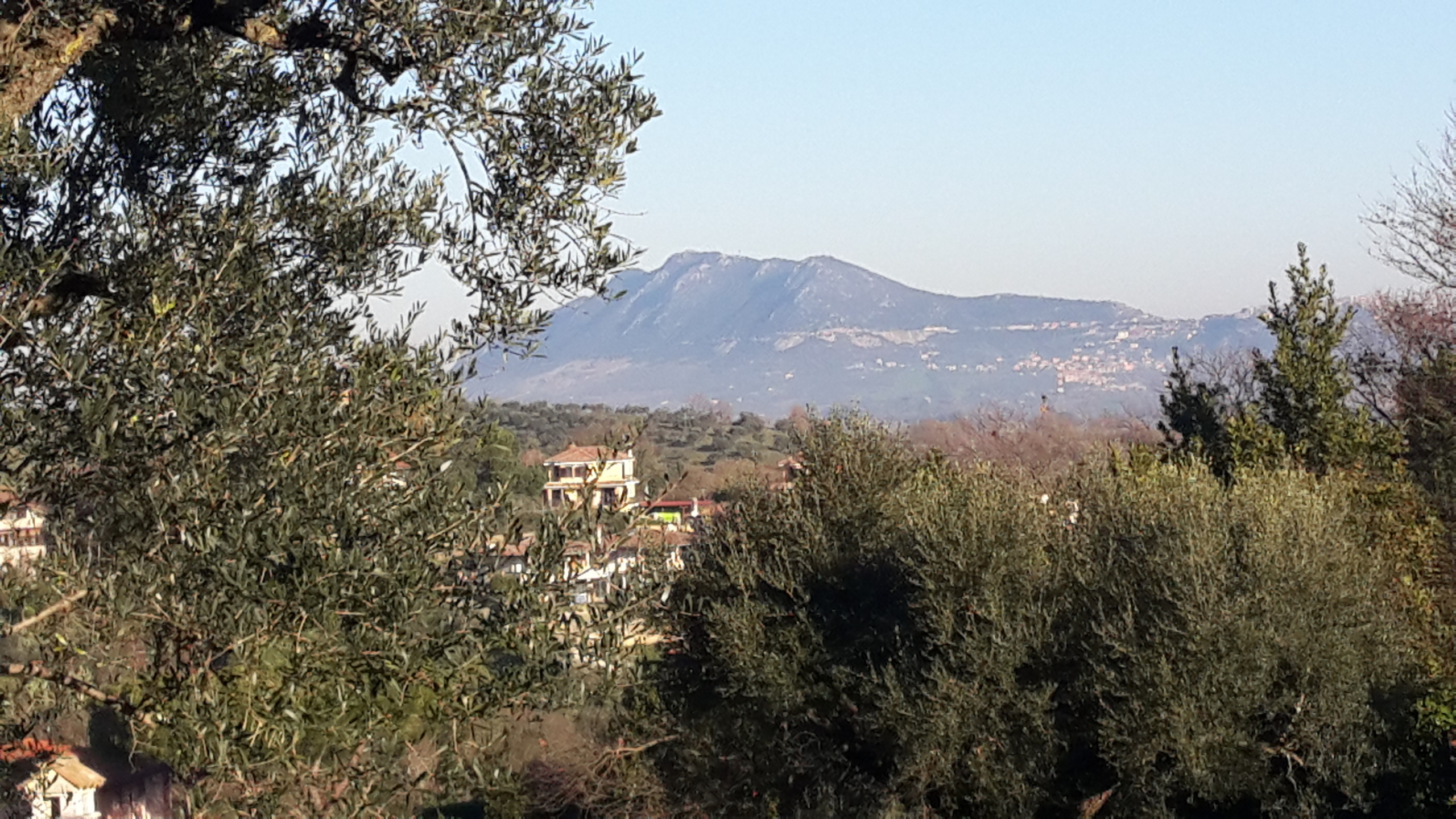 Foto annuncio 2