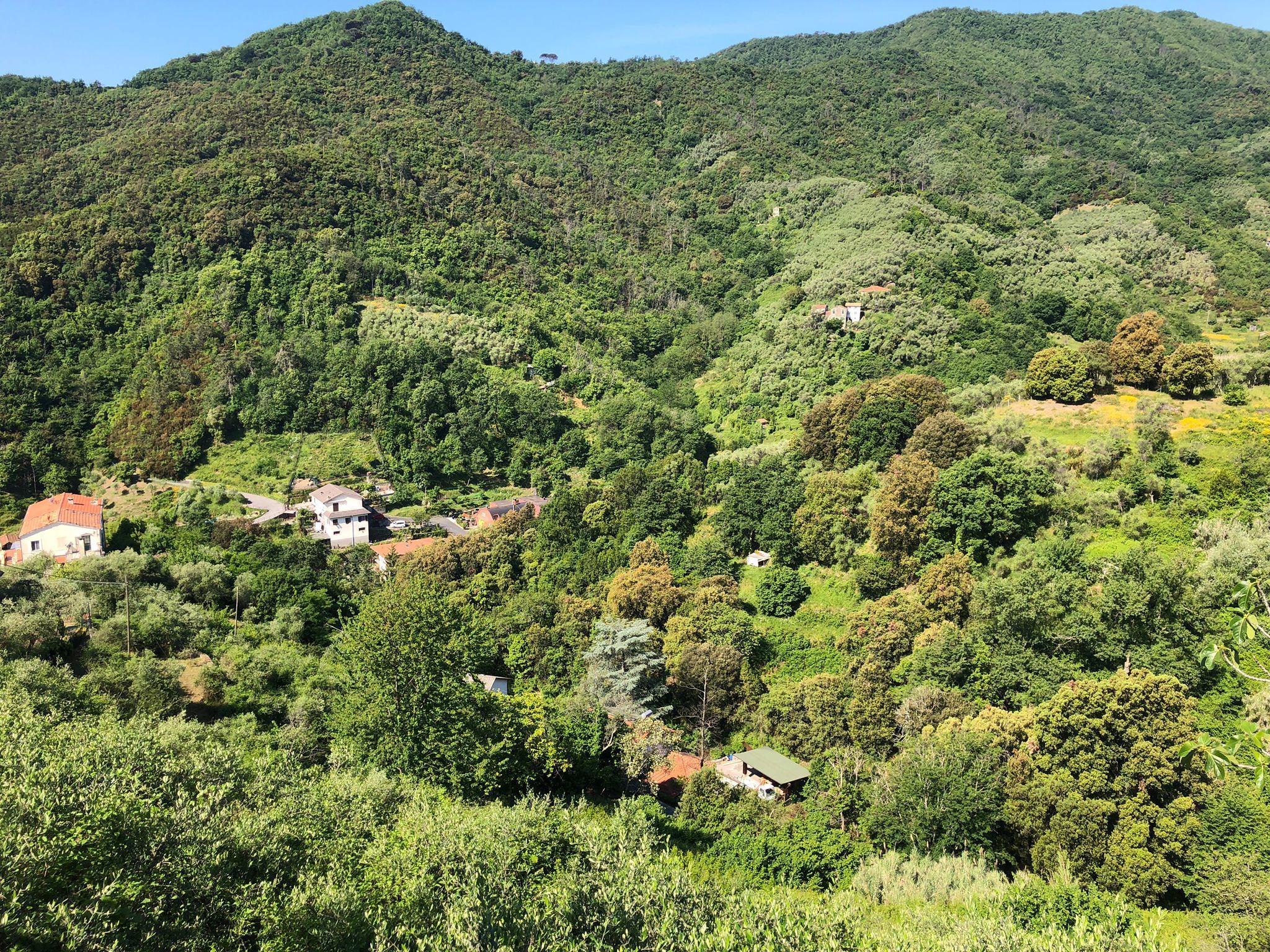 Foto annuncio 1