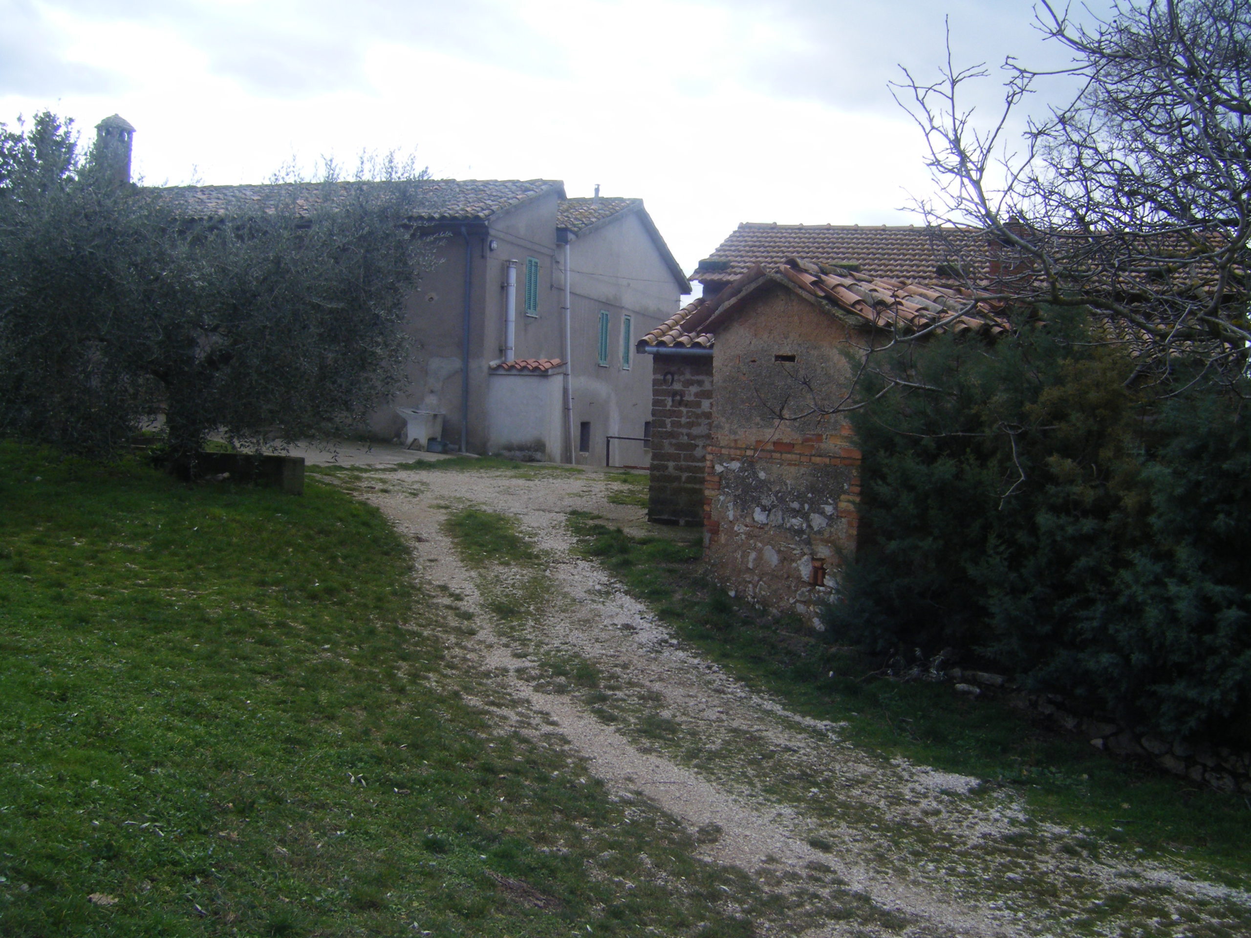 Foto annuncio 6