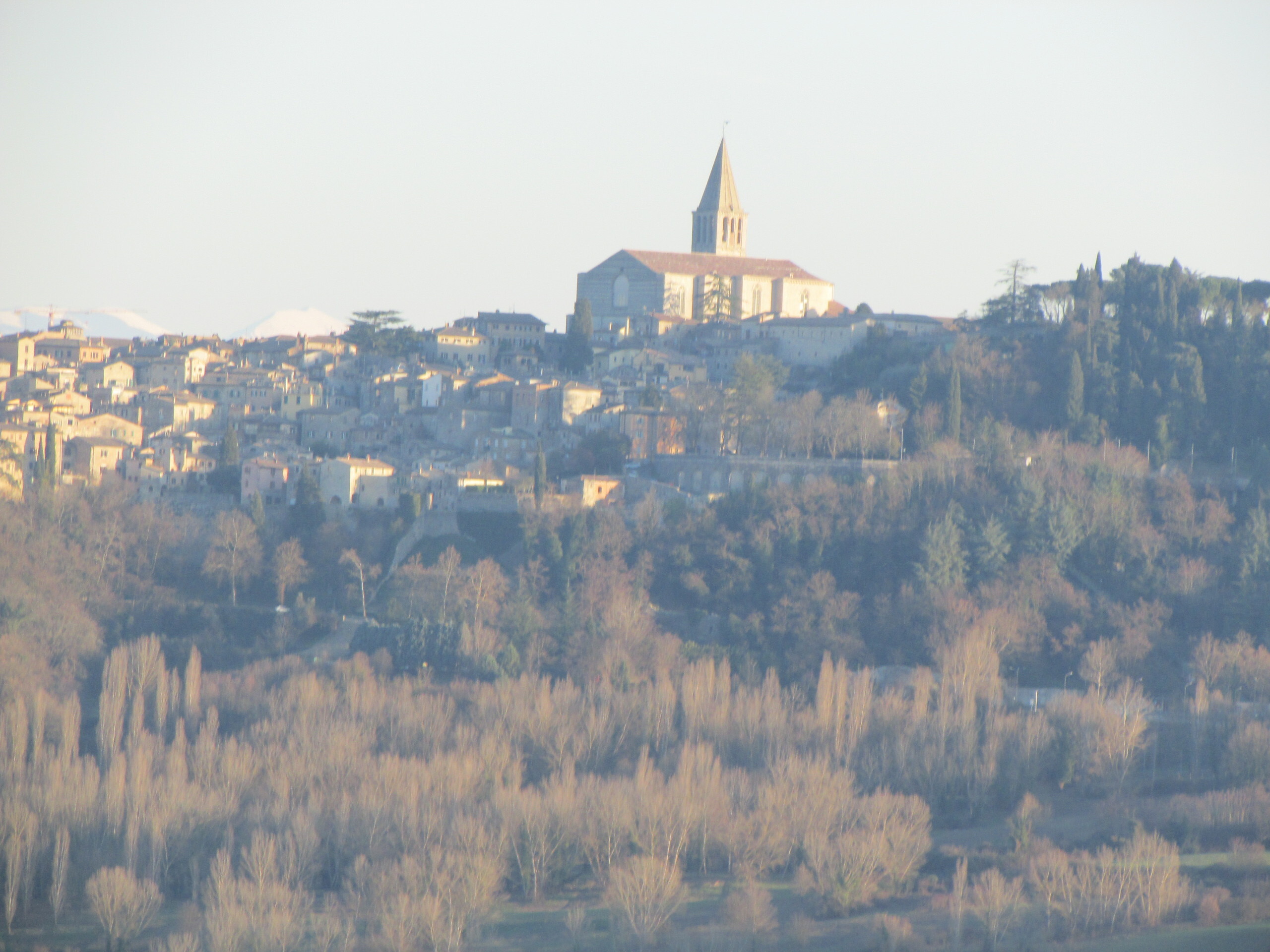 Foto annuncio 8