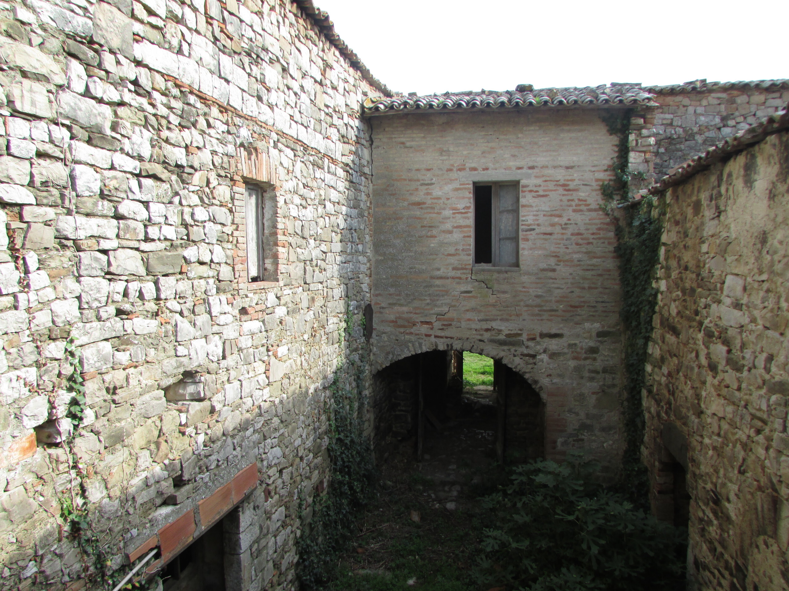 Foto annuncio 24