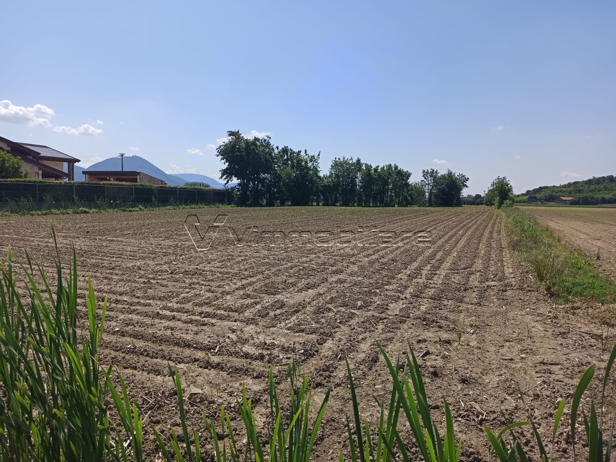 Immagine 3 di Terreno agricolo in vendita  in Via Buse a Barbarano Mossano