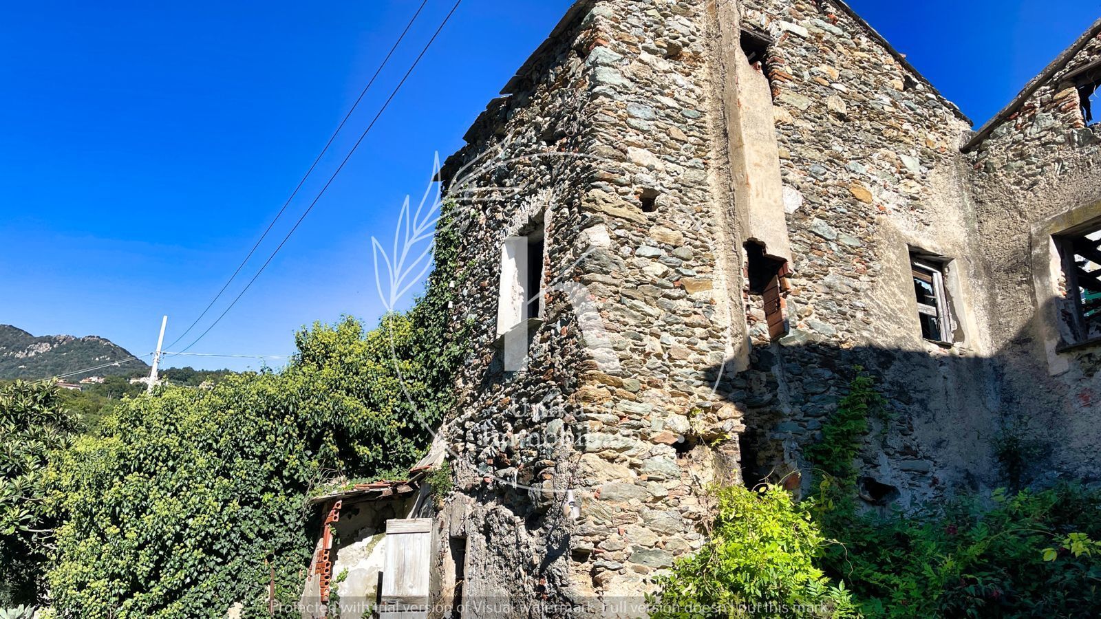 Foto annuncio 9