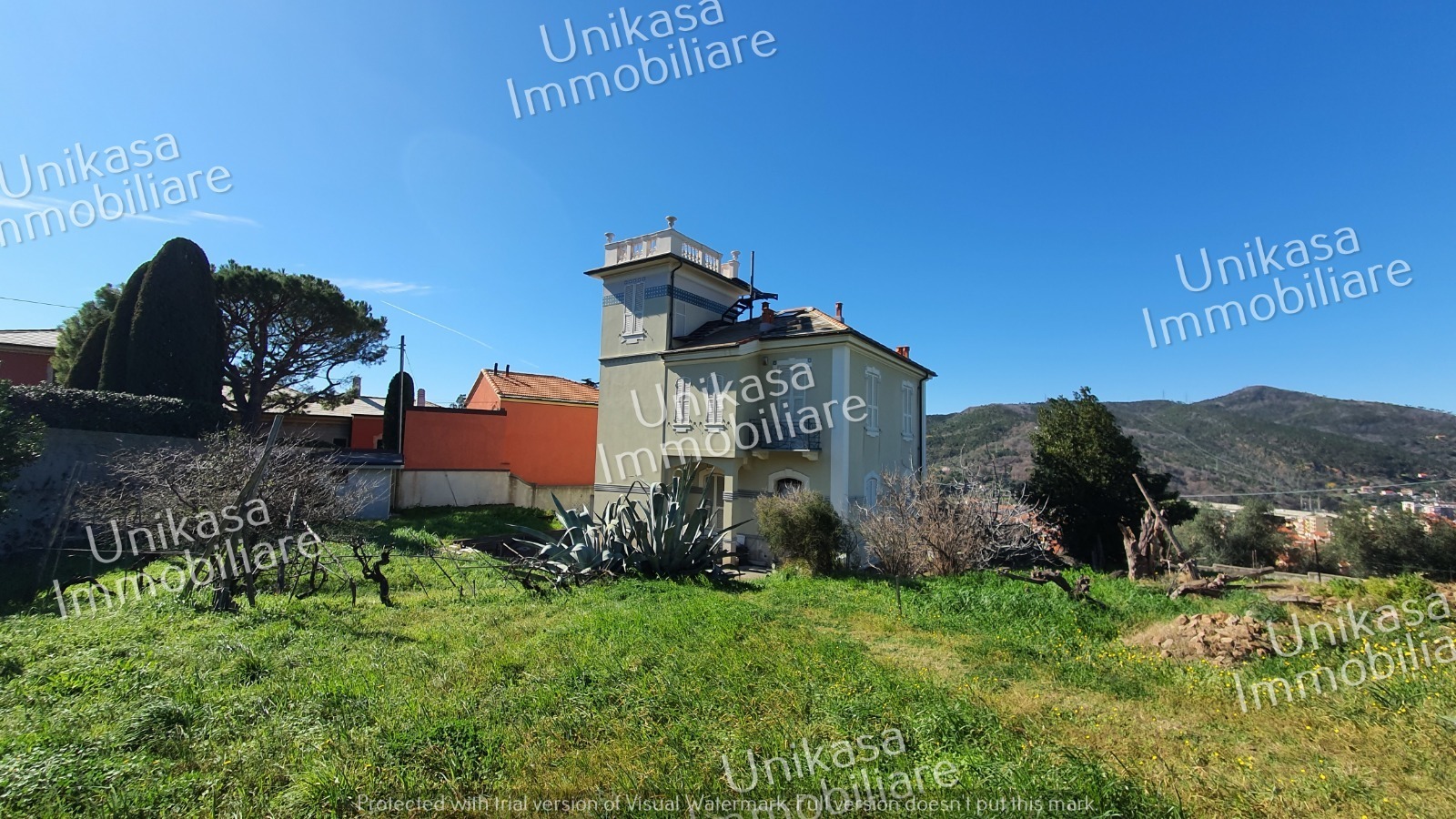 Foto annuncio 41