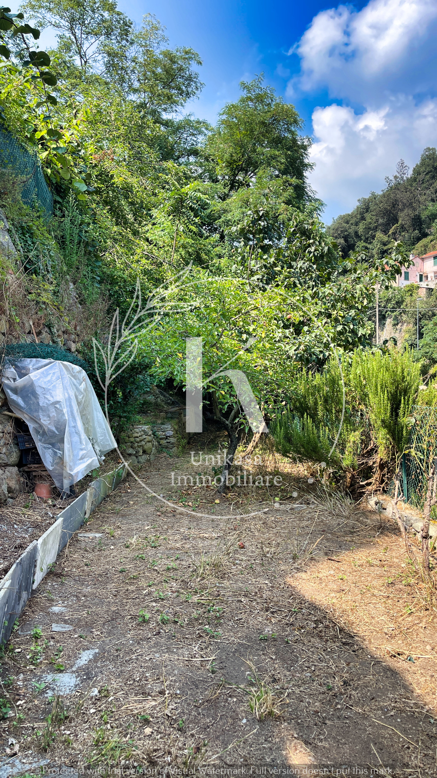 Foto annuncio 32
