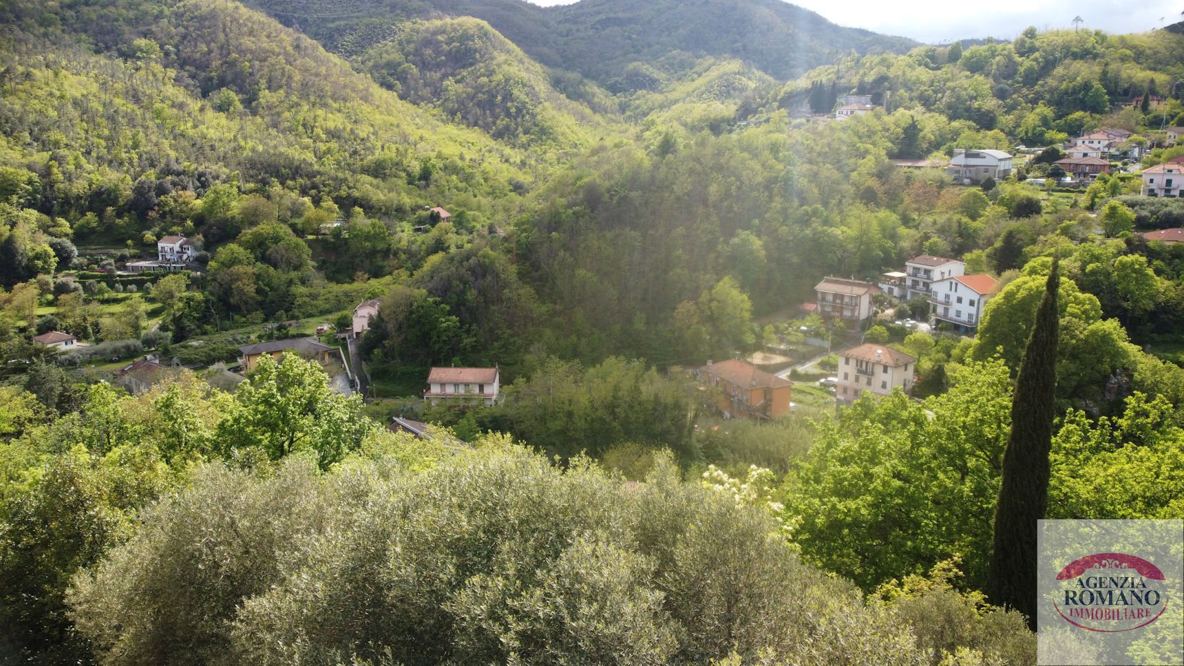 Foto annuncio 8