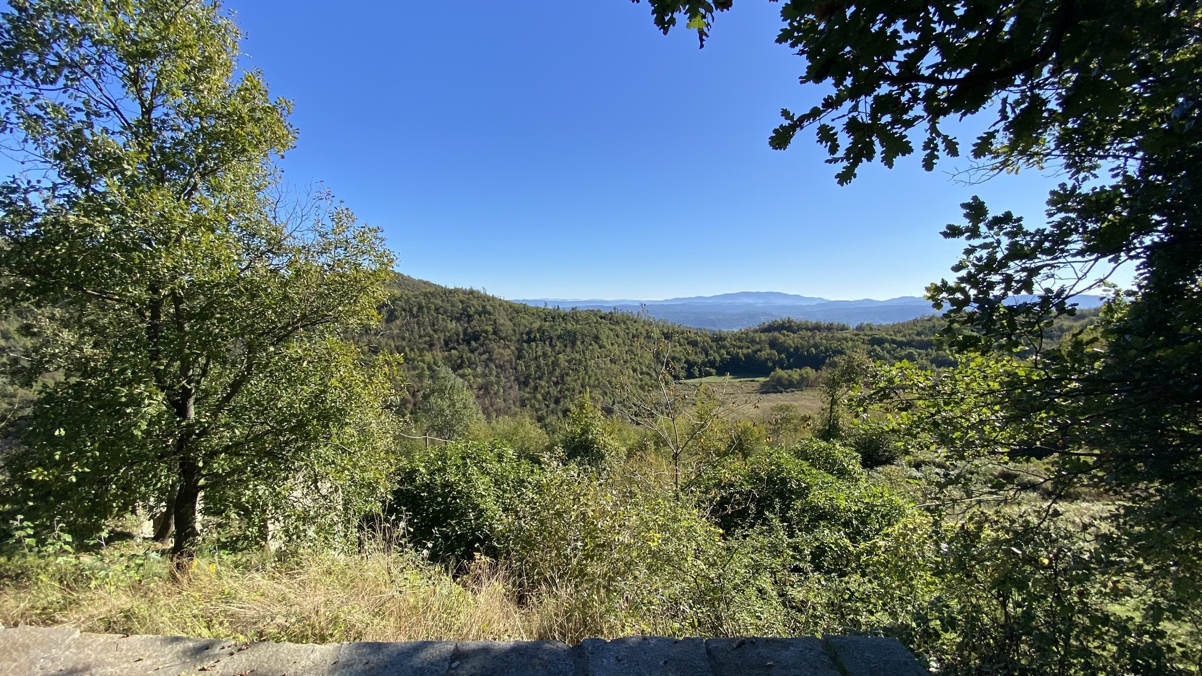 Foto annuncio 30
