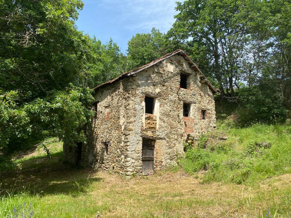Foto annuncio 1