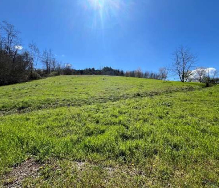 Immagine 9 di Agriturismo in vendita  in Regione Piampodazza 5 a Montechiaro D'acqui