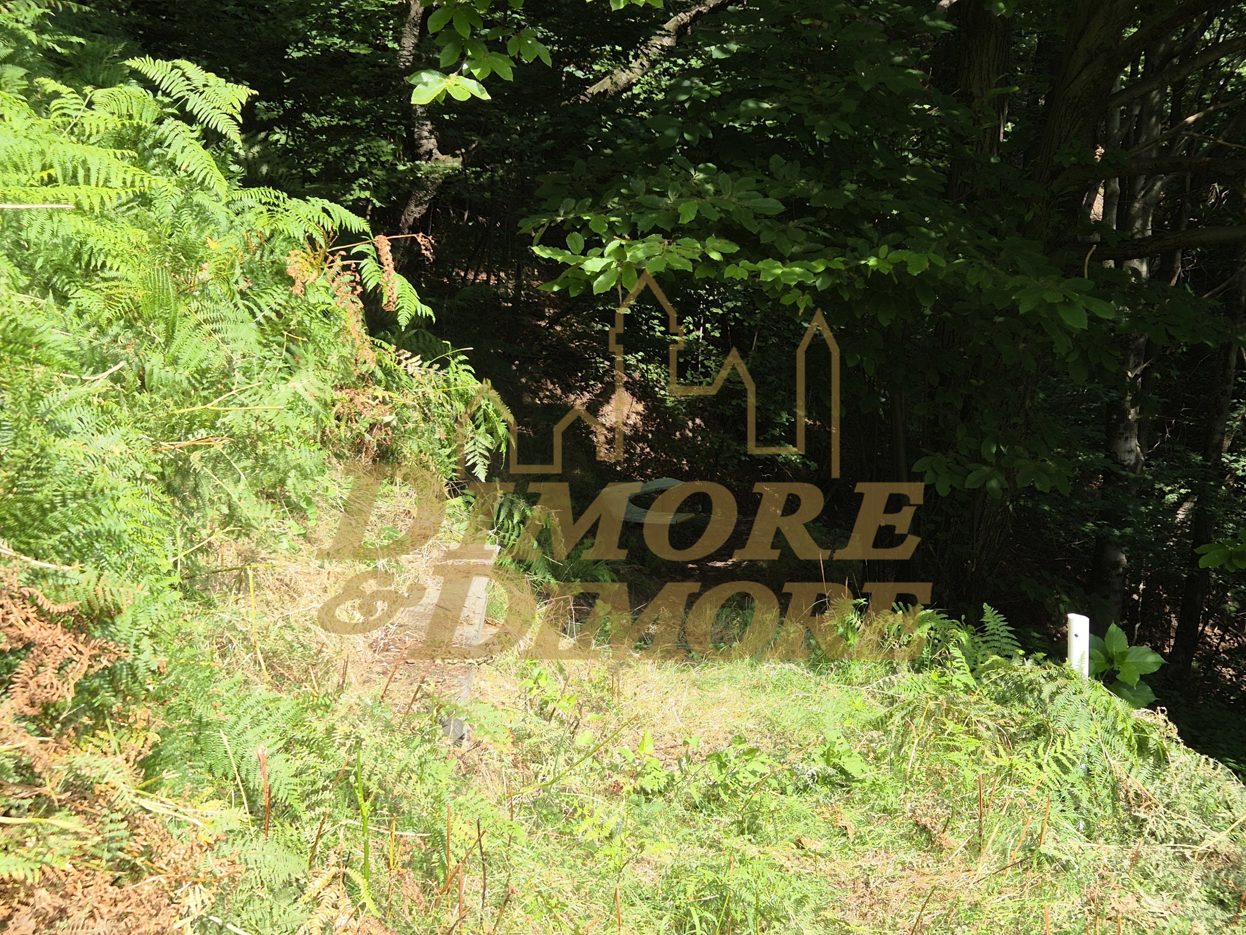 Immagine 6 di Casa indipendente in vendita  in via per Cambiesso a Intragna