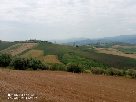 Foto annuncio 5