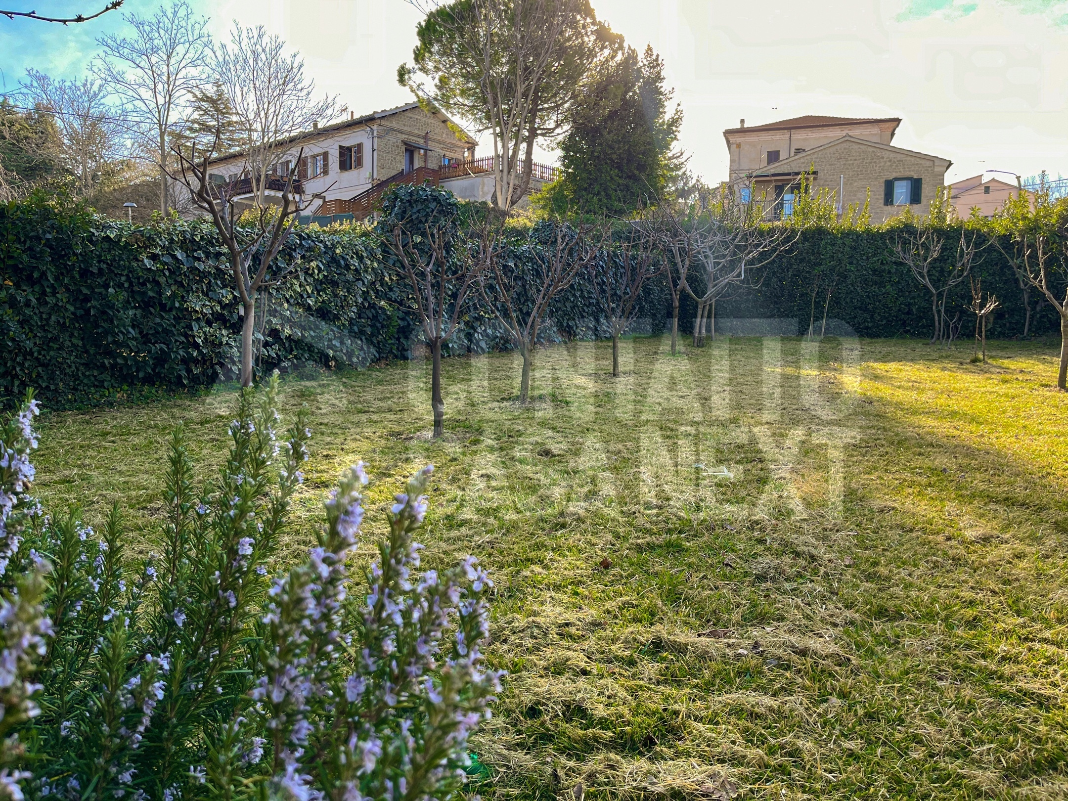 Immagine 21 di Appartamento in vendita  a Cupramontana