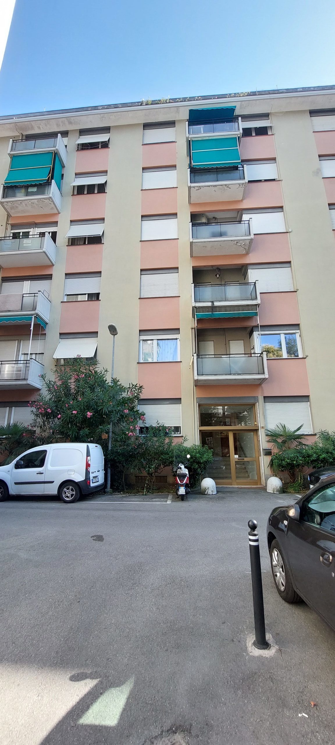 Foto annuncio 31