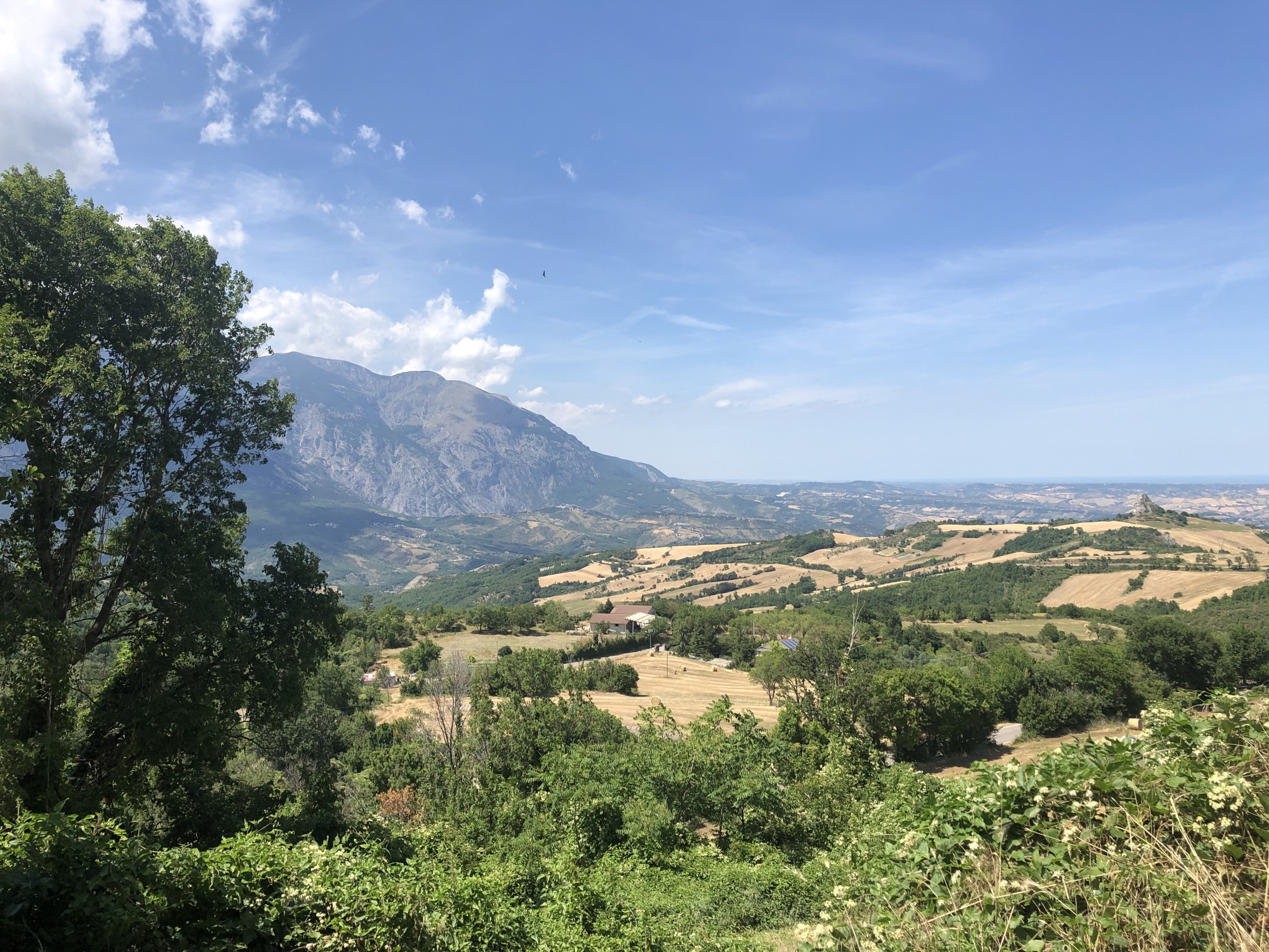 Foto annuncio 2