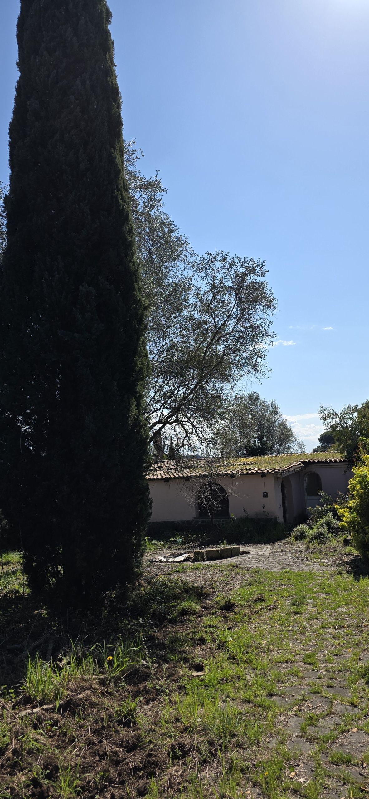 Foto annuncio 3
