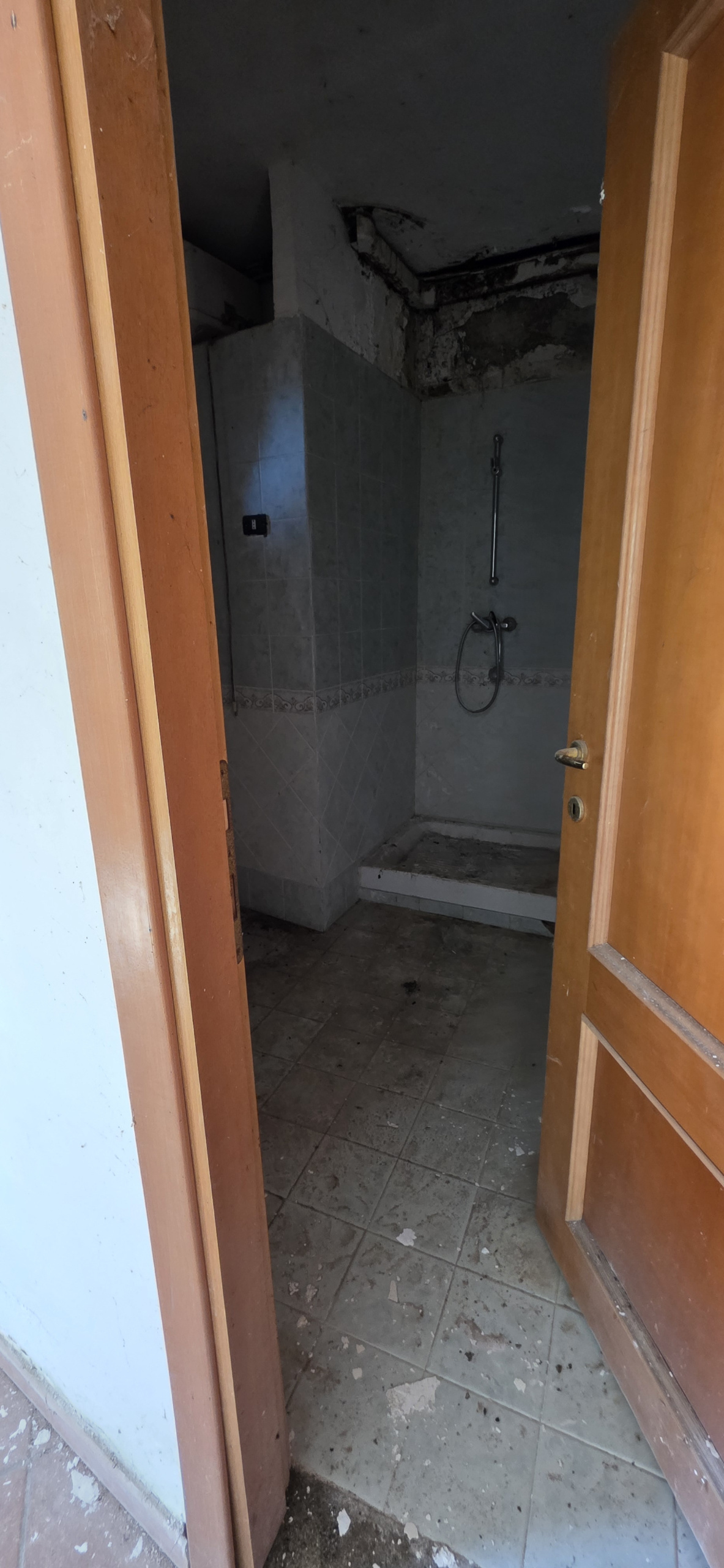 Foto annuncio 37