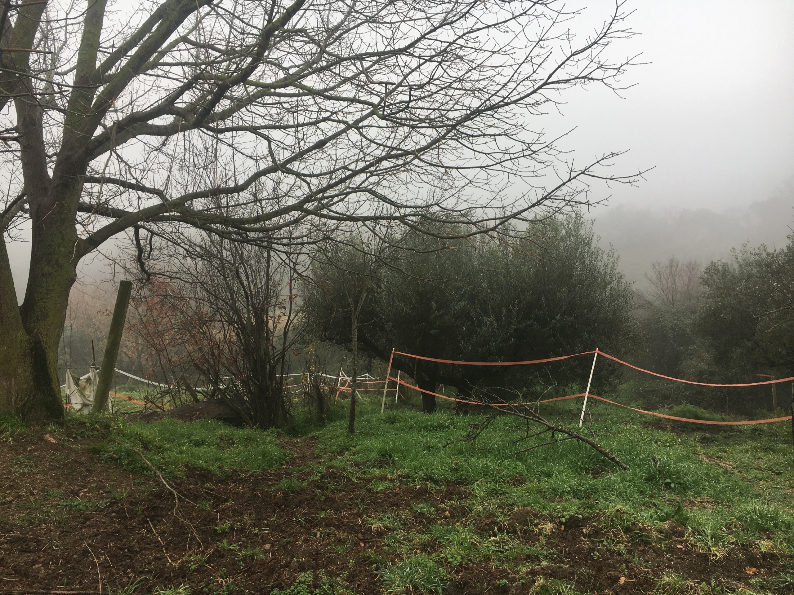Foto annuncio 3