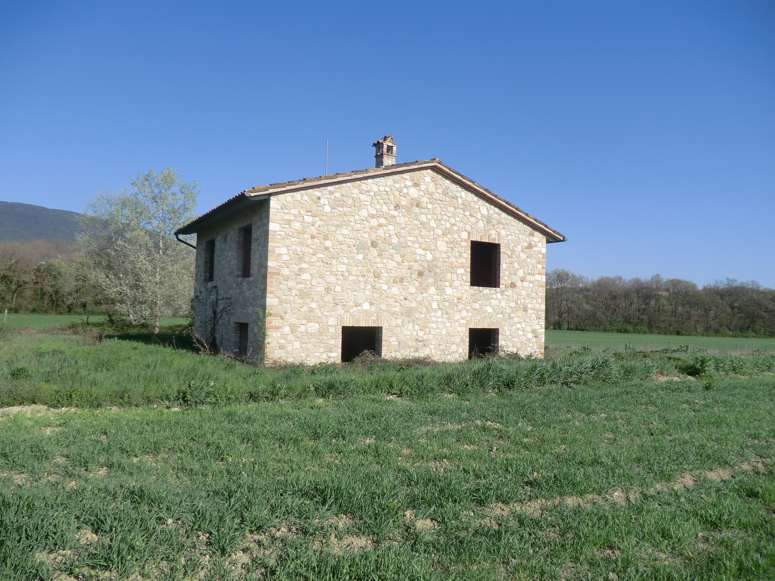 Foto annuncio 3