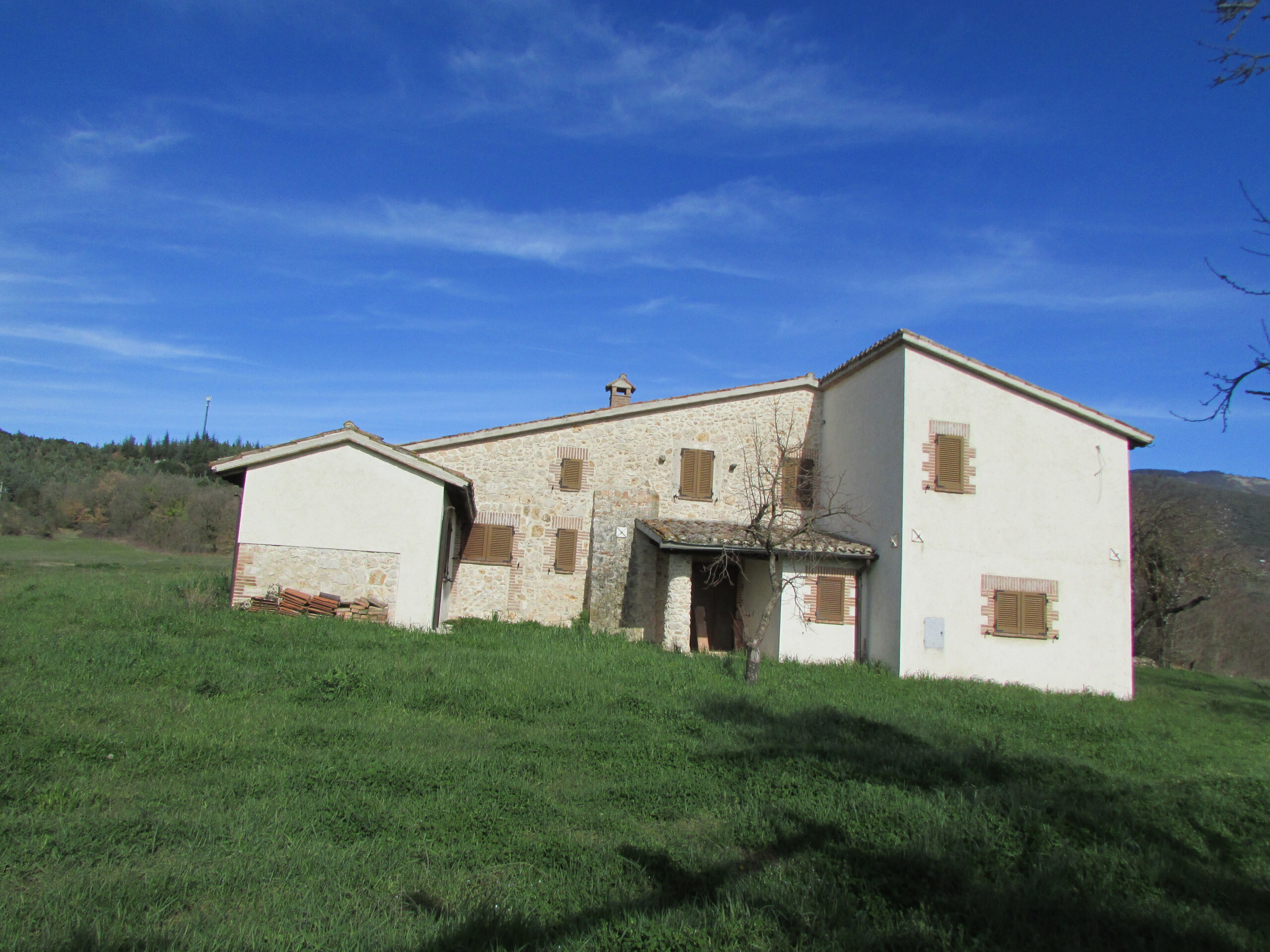 Foto annuncio 5