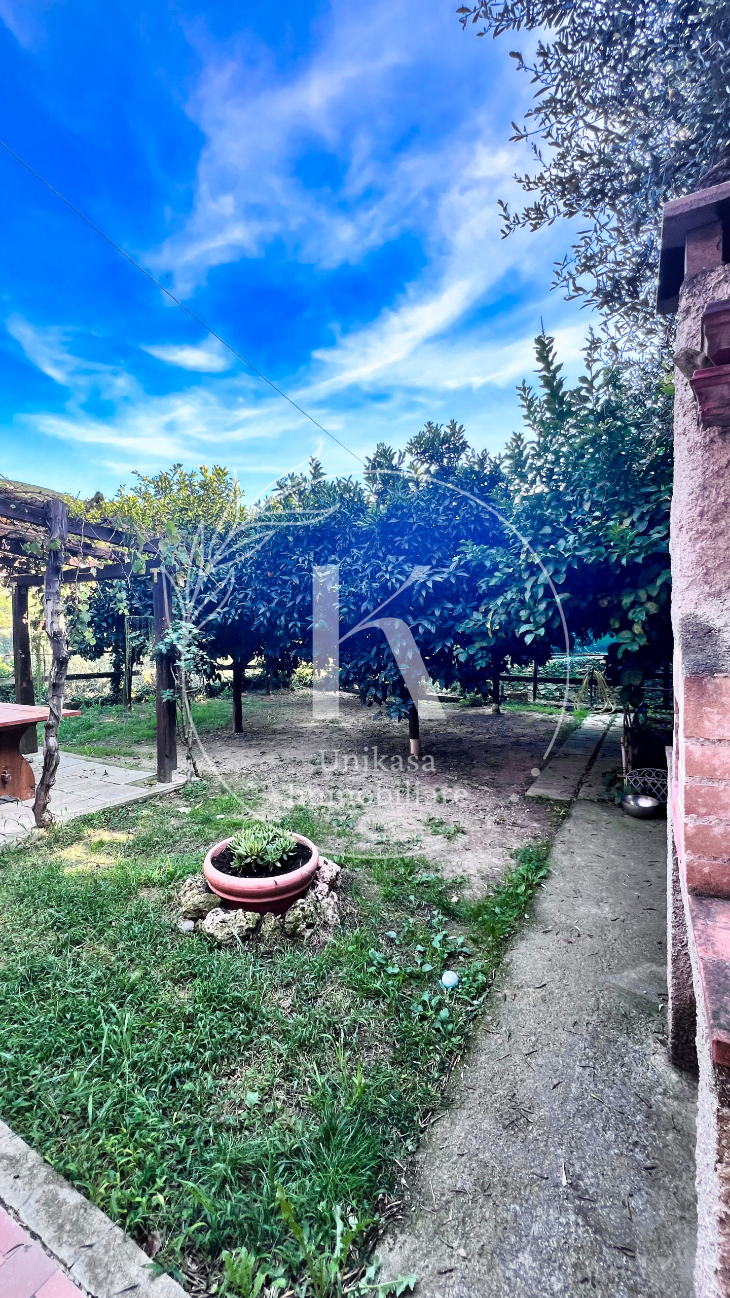 Foto annuncio 11