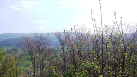 Immagine 24 di Casa indipendente in vendita  a Sassello