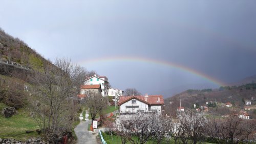 Foto annuncio 4