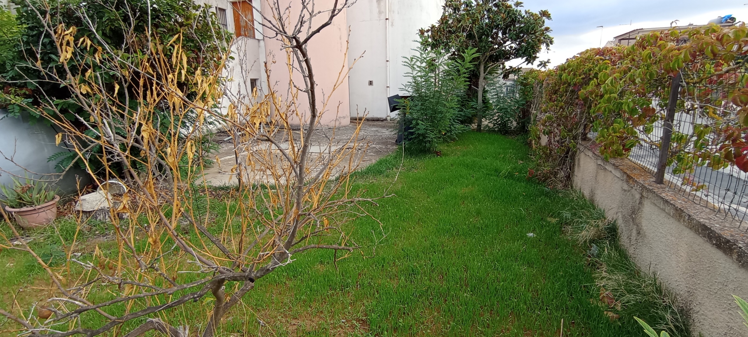 Foto annuncio 30