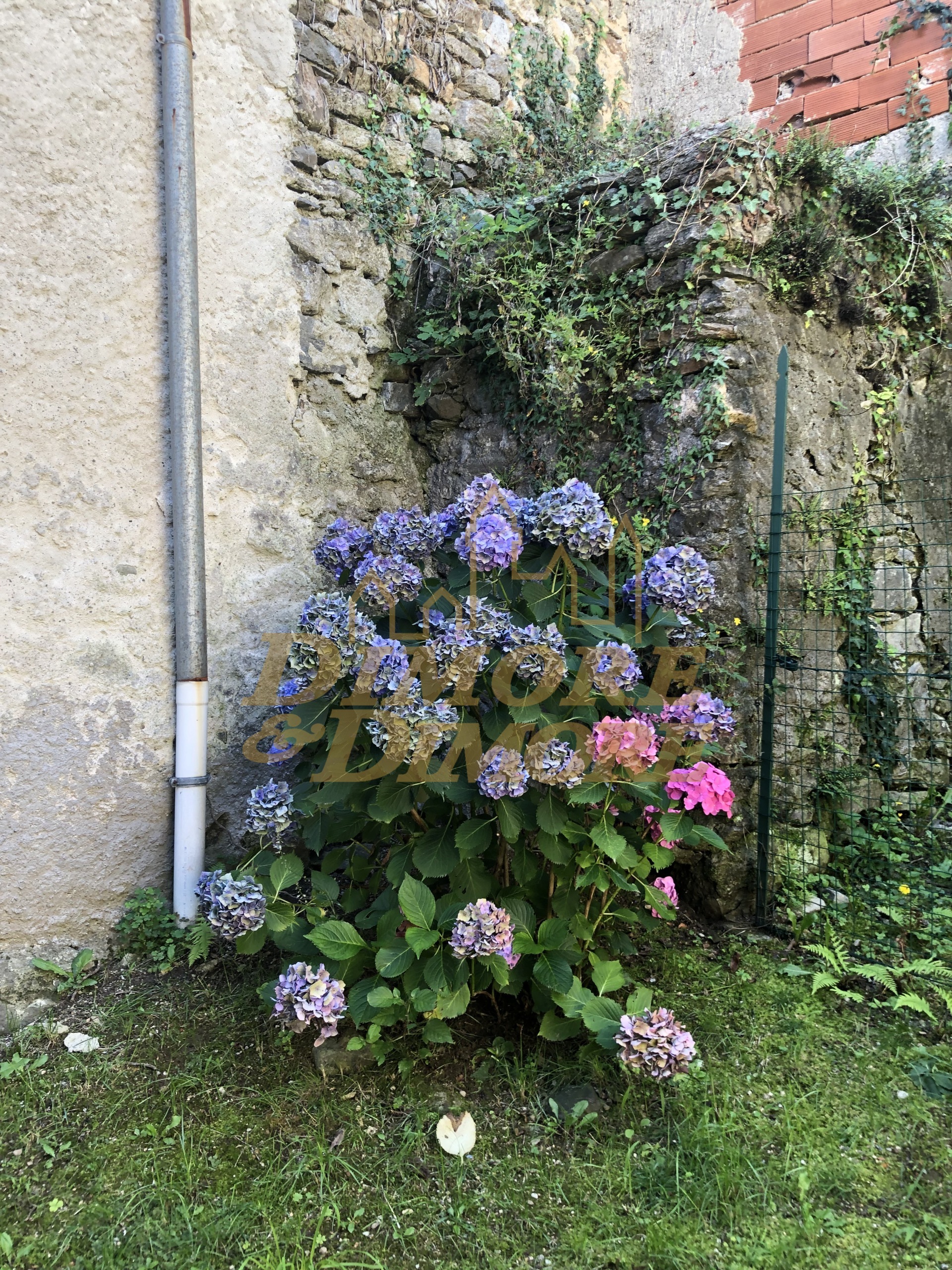 Immagine 8 di Bilocale in vendita  in Via Monte Nero 9 a Dumenza