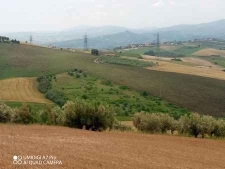Foto annuncio 6