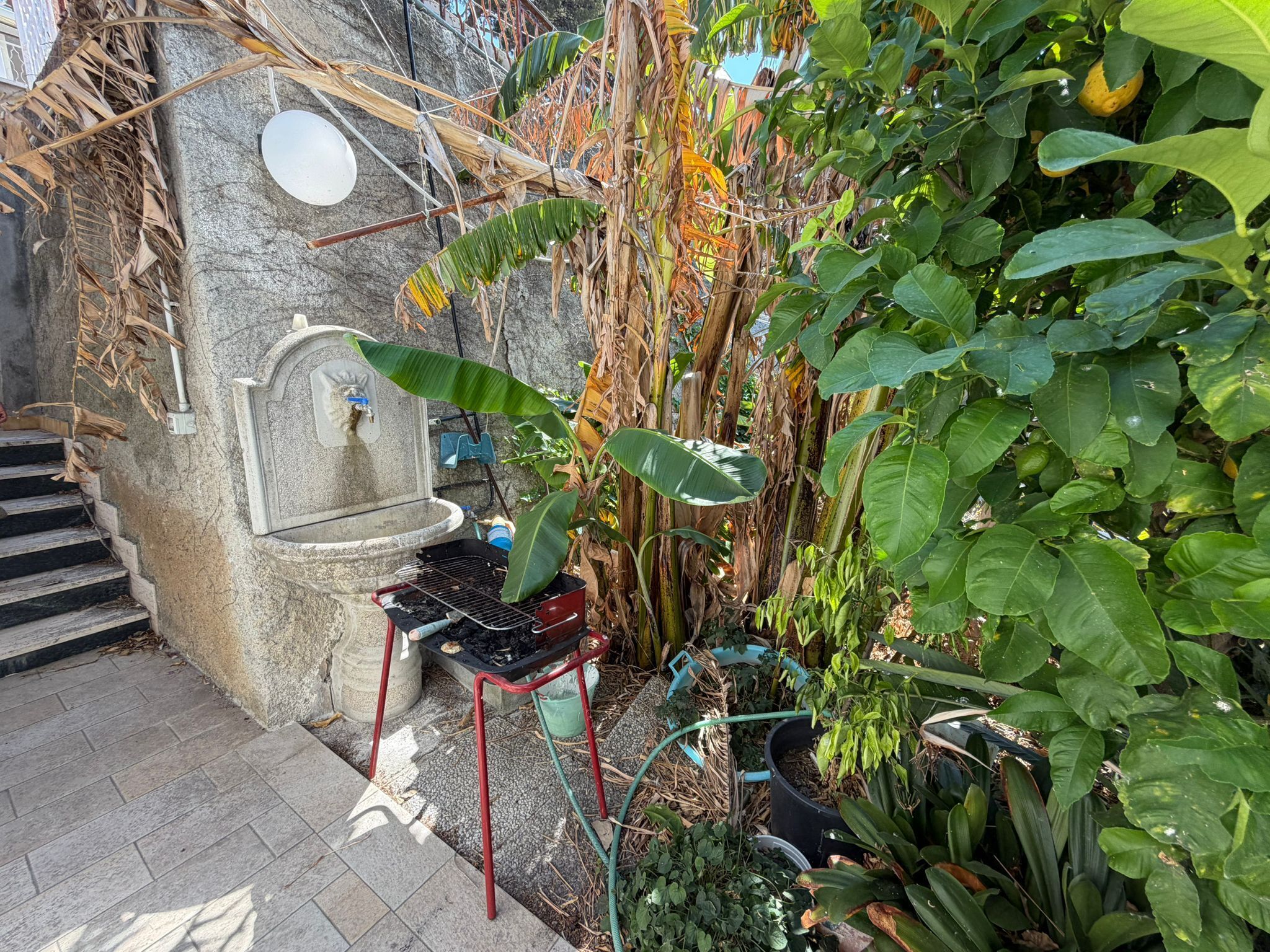 Foto annuncio 10