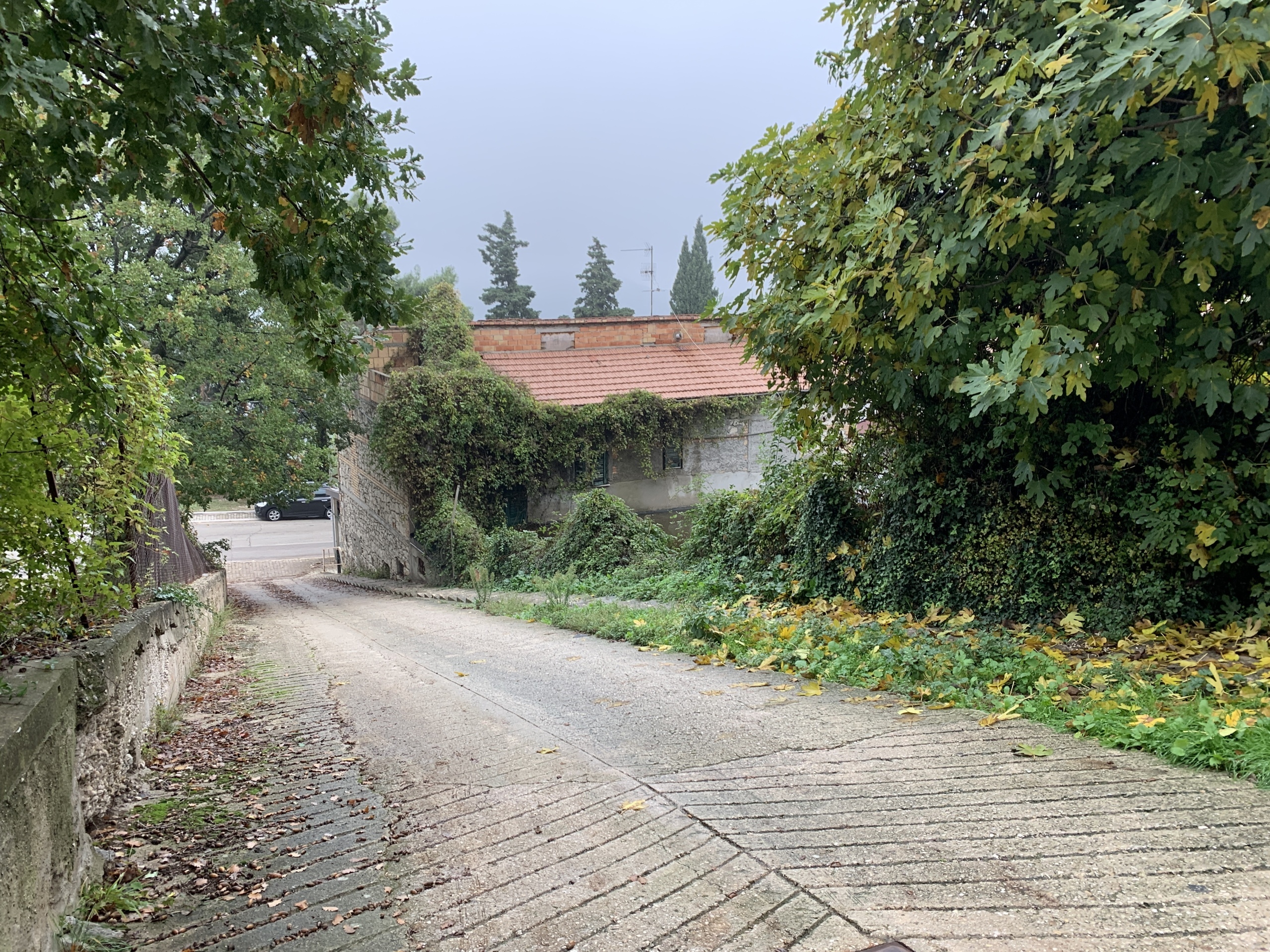 Immagine 16 di Rustico / casale in vendita  a Altino