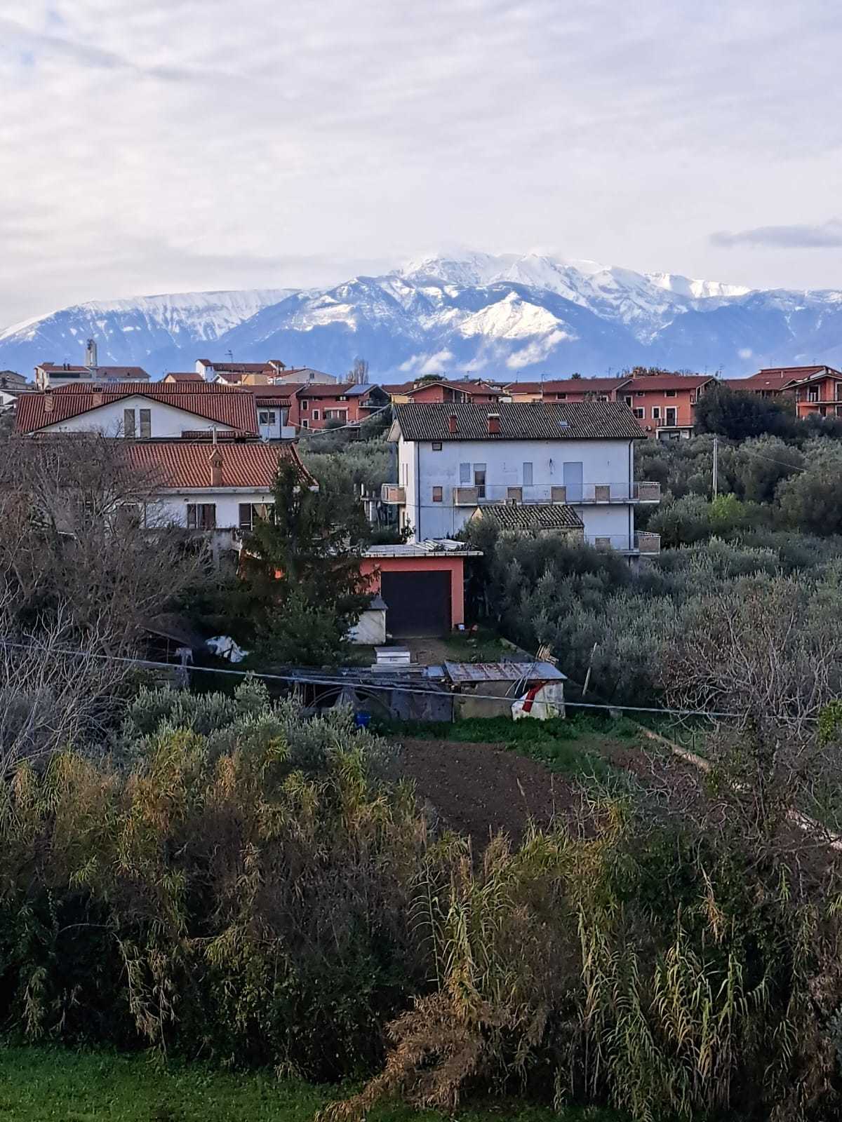 Foto annuncio 29