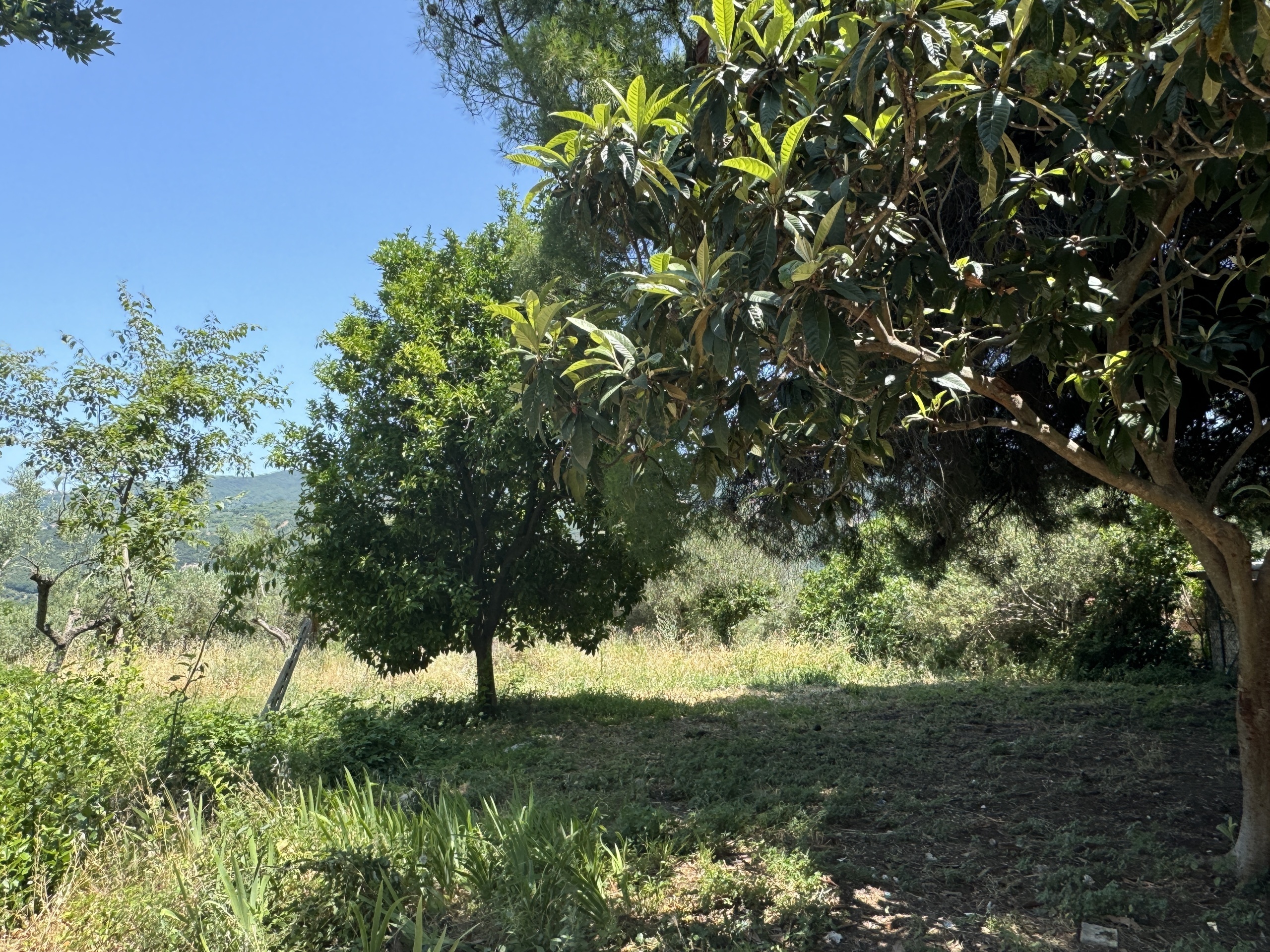 Immagine 58 di Casa semindipendente in vendita  in Roccascalegna a Roccascalegna