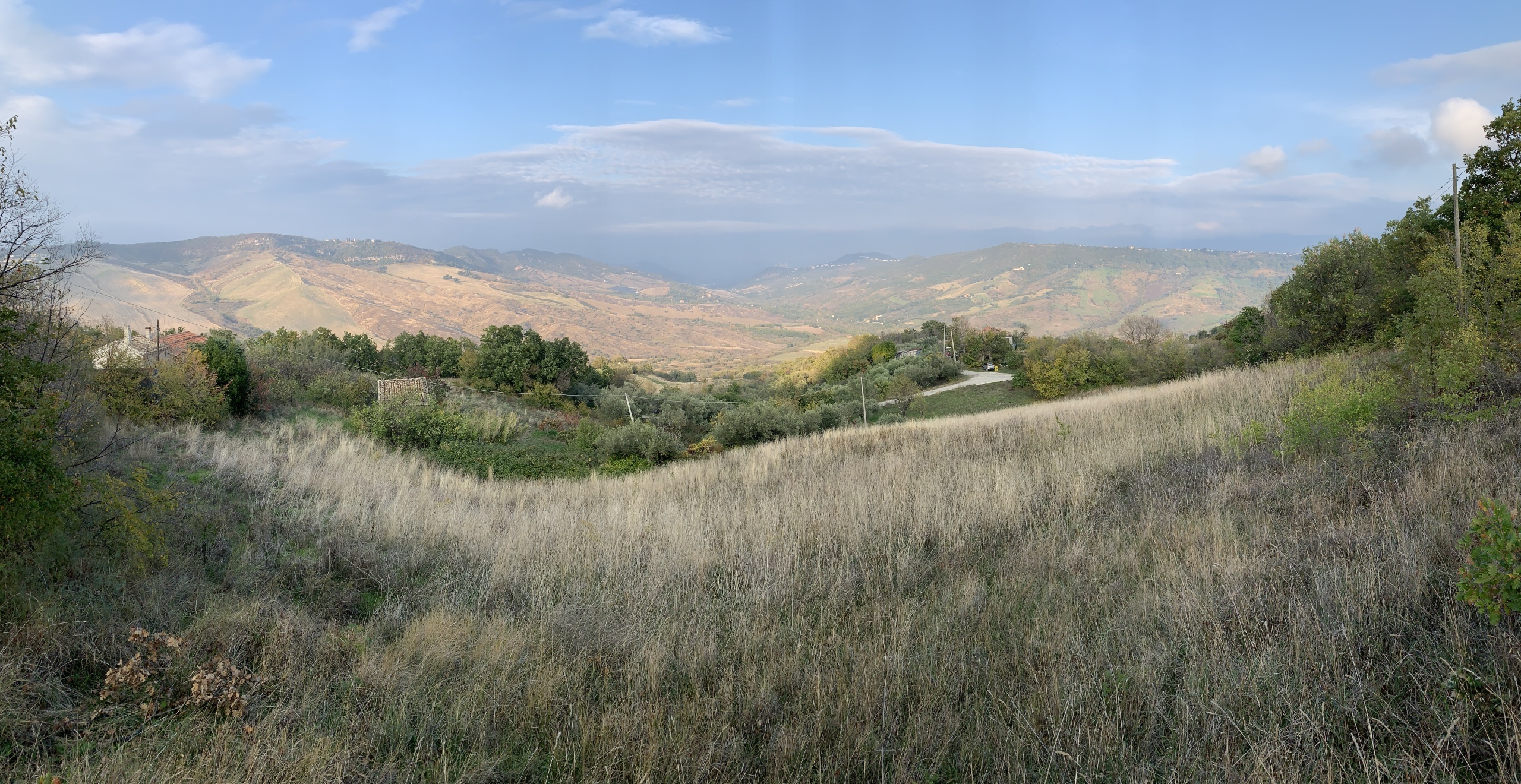 Immagine 65 di Rustico / casale in vendita  a Altino