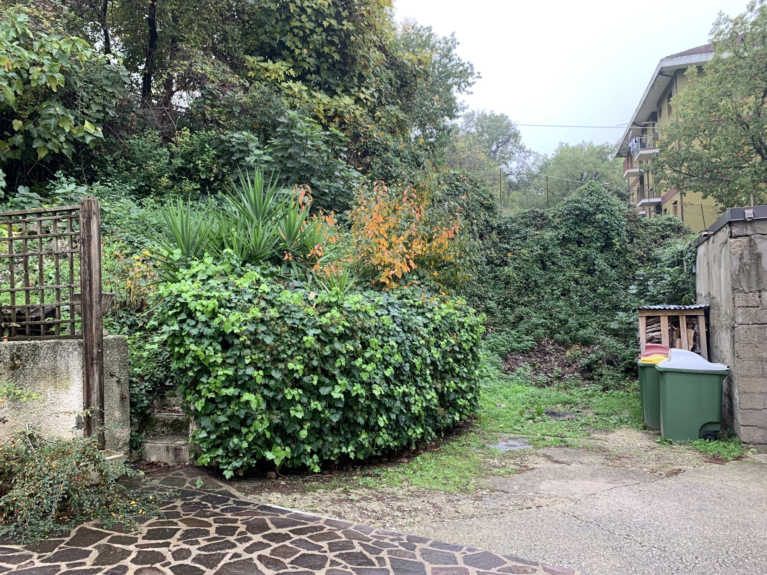 Immagine 7 di Rustico / casale in vendita  a Altino