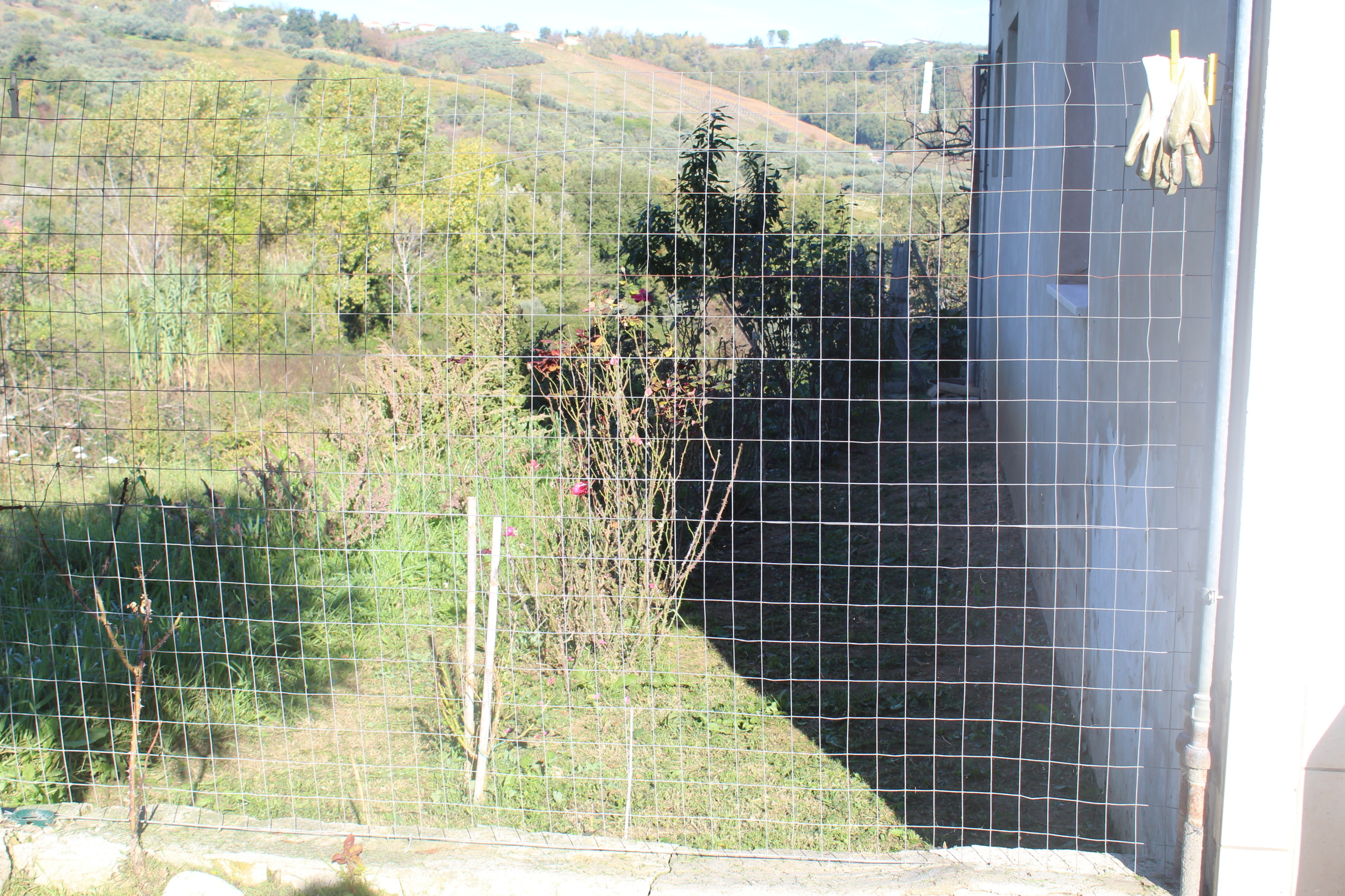 Foto annuncio 15