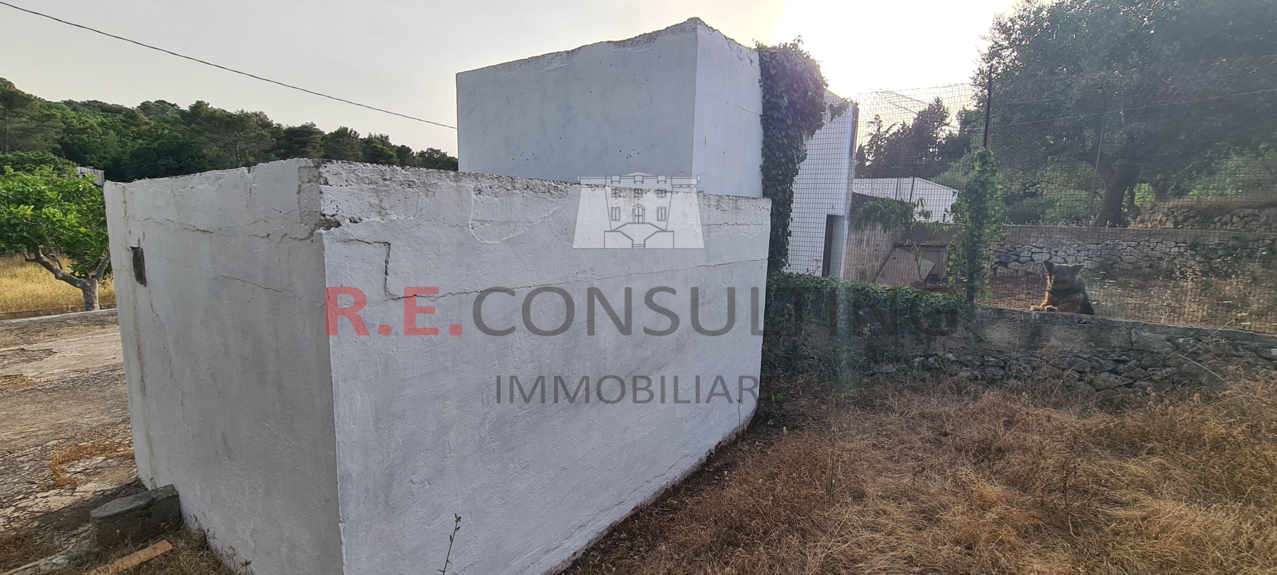 Immagine 6 di Rustico / casale in vendita  in Contrada Giancone a Martina Franca