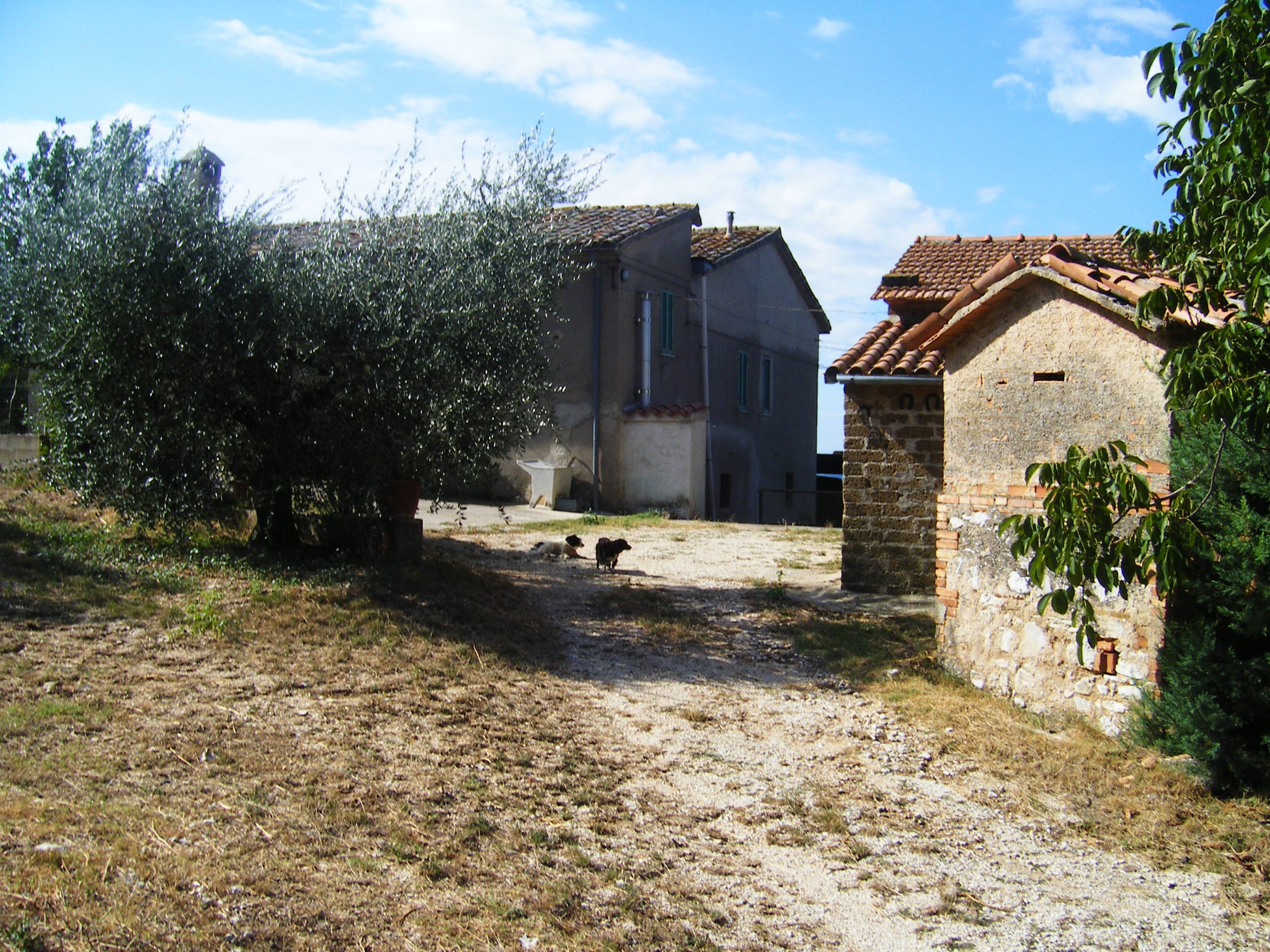 Foto annuncio 5