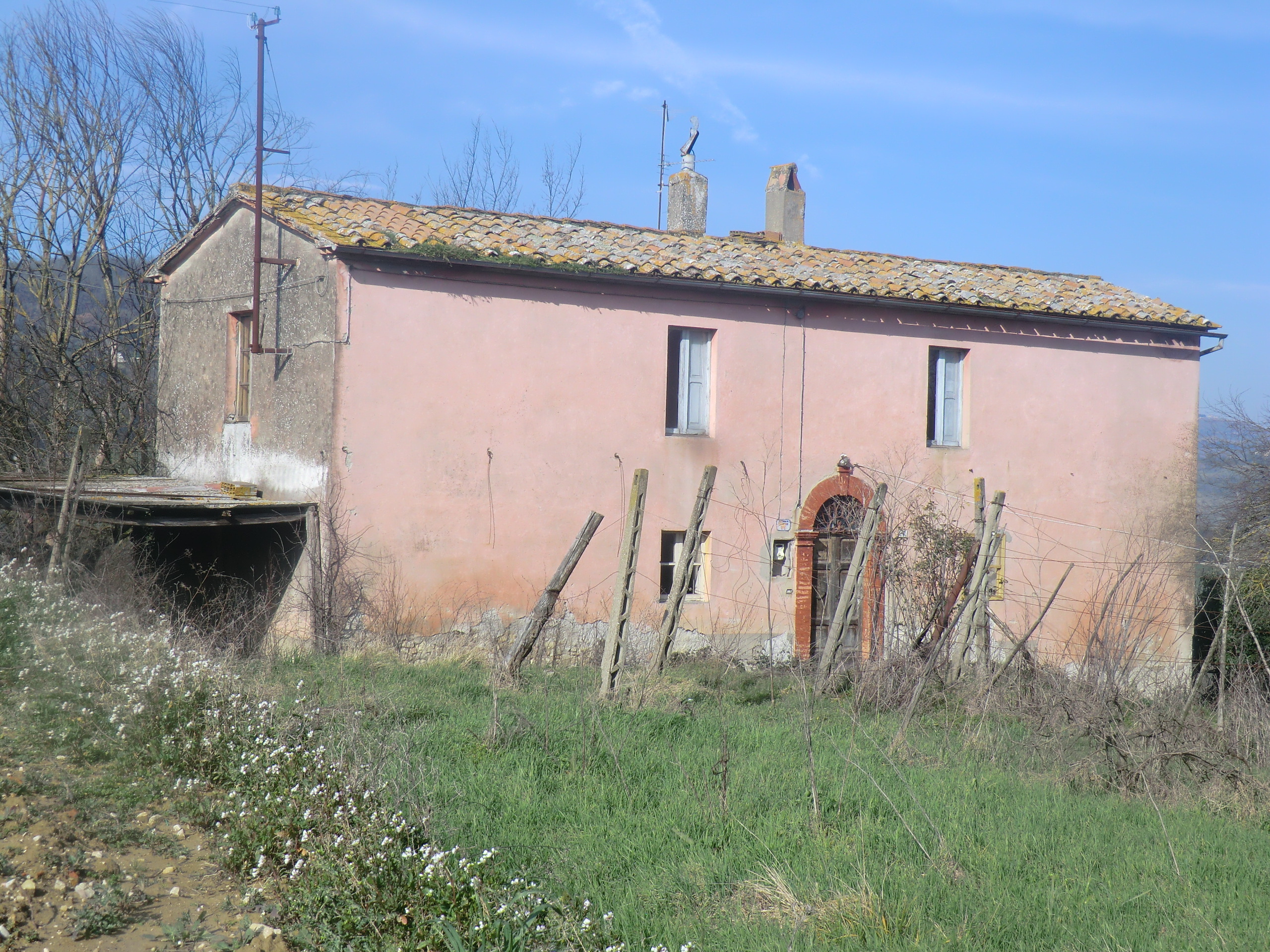 Foto annuncio 7