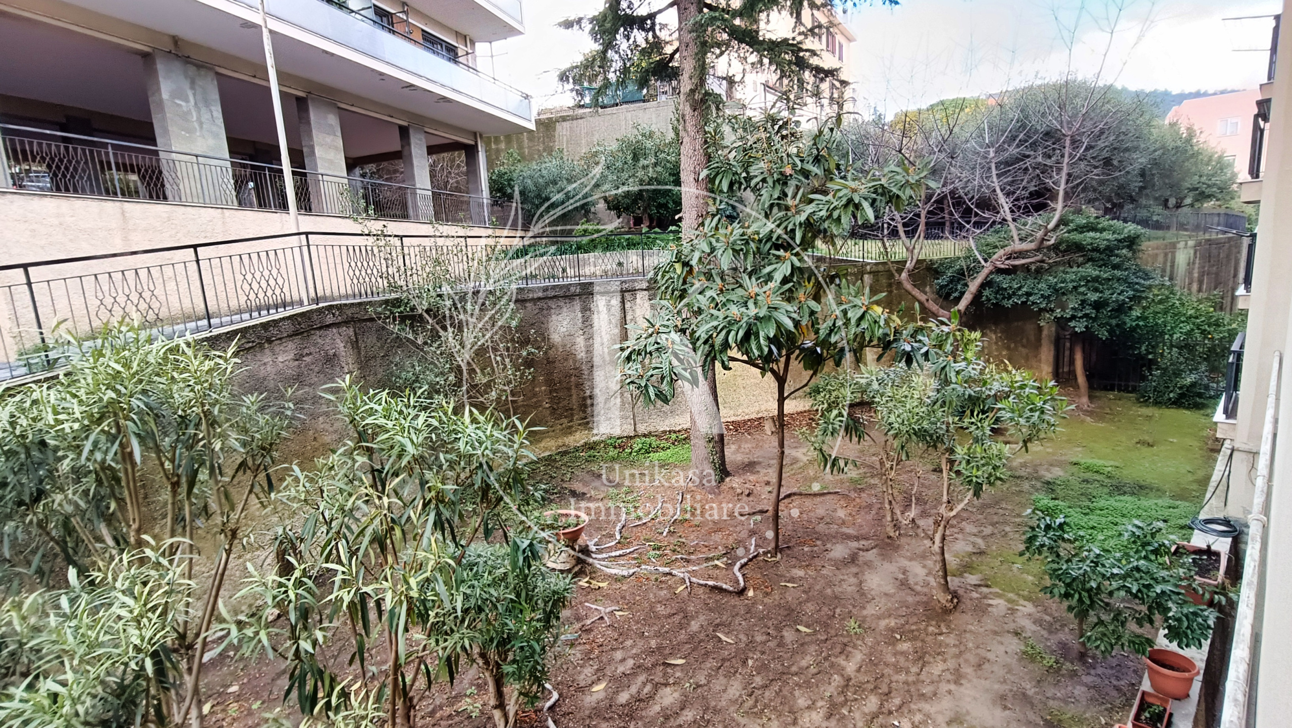 Foto annuncio 31